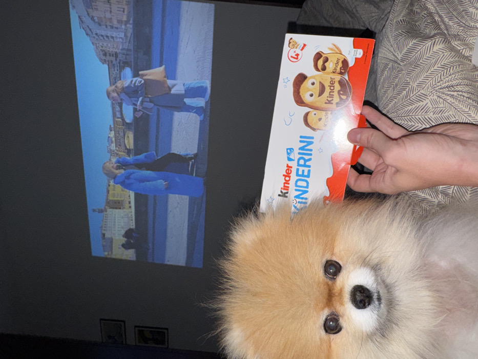 A fluffy, light-brown Pomeranian dog lies on its back, looking up at the camera with wide, dark eyes. A box of Kinder Kinderini snacks is held above the dog, angled towards the viewer. In the background, a wall displays a projected image of two women in blue coats on what appears to be a bridge in Europe. The room is dimly lit, and the bed with a patterned blanket is visible.