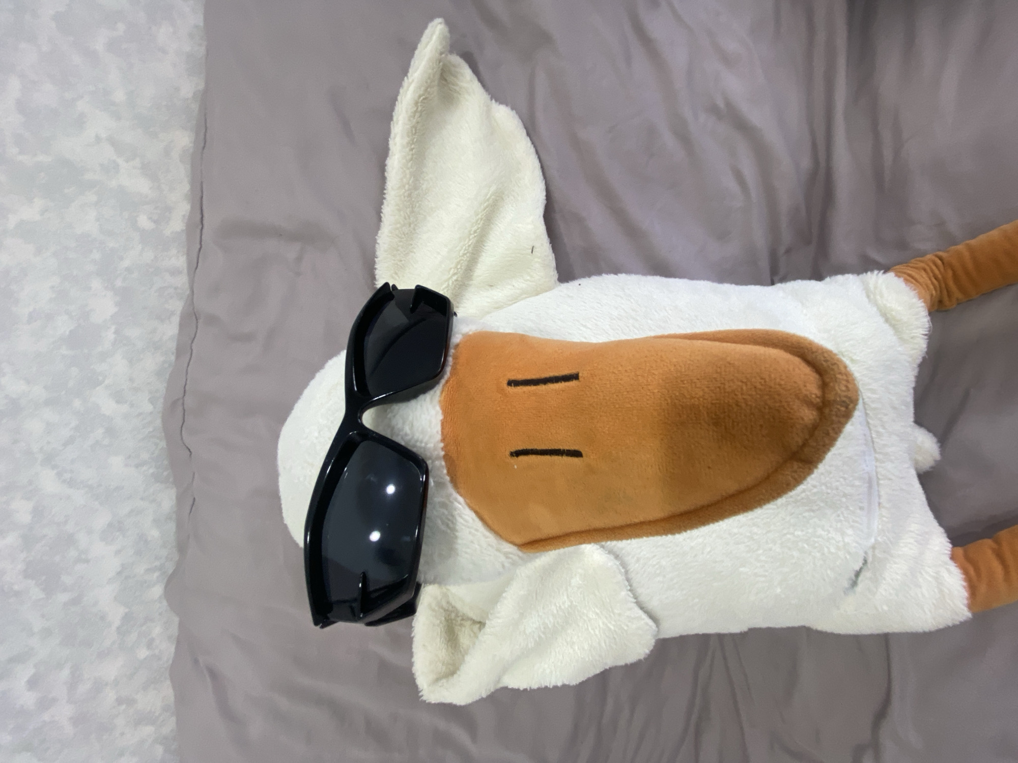 A stuffed animal that resembles a white goose or duck with an orange beak and brown legs is lying on a bed. It is wearing large black sunglasses. The background consists of a textured gray wall and a rumpled purple bedsheet. There are no people present in the image. The scene is indoors and appears to be in a bedroom. There is no information in the image to indicate its location in the city of Uchaly, Russia.