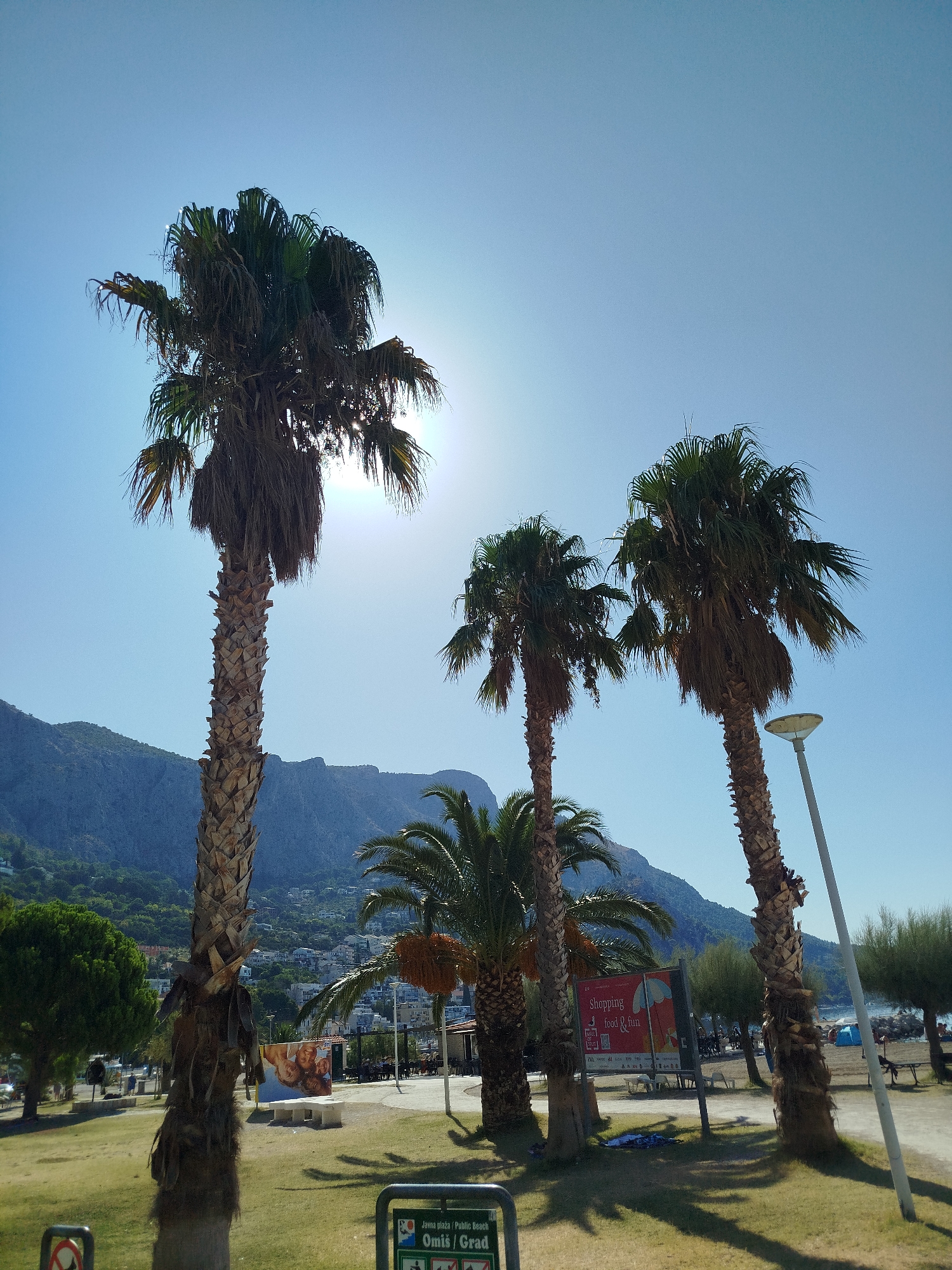 In Omiš, Croatia, this image captures a scene dominated by several tall palm trees with rough, textured trunks and lush green fronds against a bright, clear blue sky. The sun is partially obscured by the fronds of one of the leftmost palm trees, creating a bright glare. In the background, a range of steep, rocky mountains covered in scattered greenery stretches across the horizon, with a town built into the hillsides visible. A modern street lamp with a round, white light fixture stands to the right, its pole extending upwards. In the mid-ground, a grassy area with scattered trees leads to a promenade or pathway. A large, red advertisement sign with images of people and text such as "Shopping food & fun" is prominently displayed near the center. Further back, a beach with some scattered beach chairs and a blue tent can be seen. A small group of people are visible on the beach. At the bottom of the image, a metal sign with text in what appears to be Croatian, including "Javna plaža / Public Beach / Omiš / Grad", indicates the location as a public beach in Omiš. The overall scene depicts a sunny day in a coastal town, likely a tourist area.