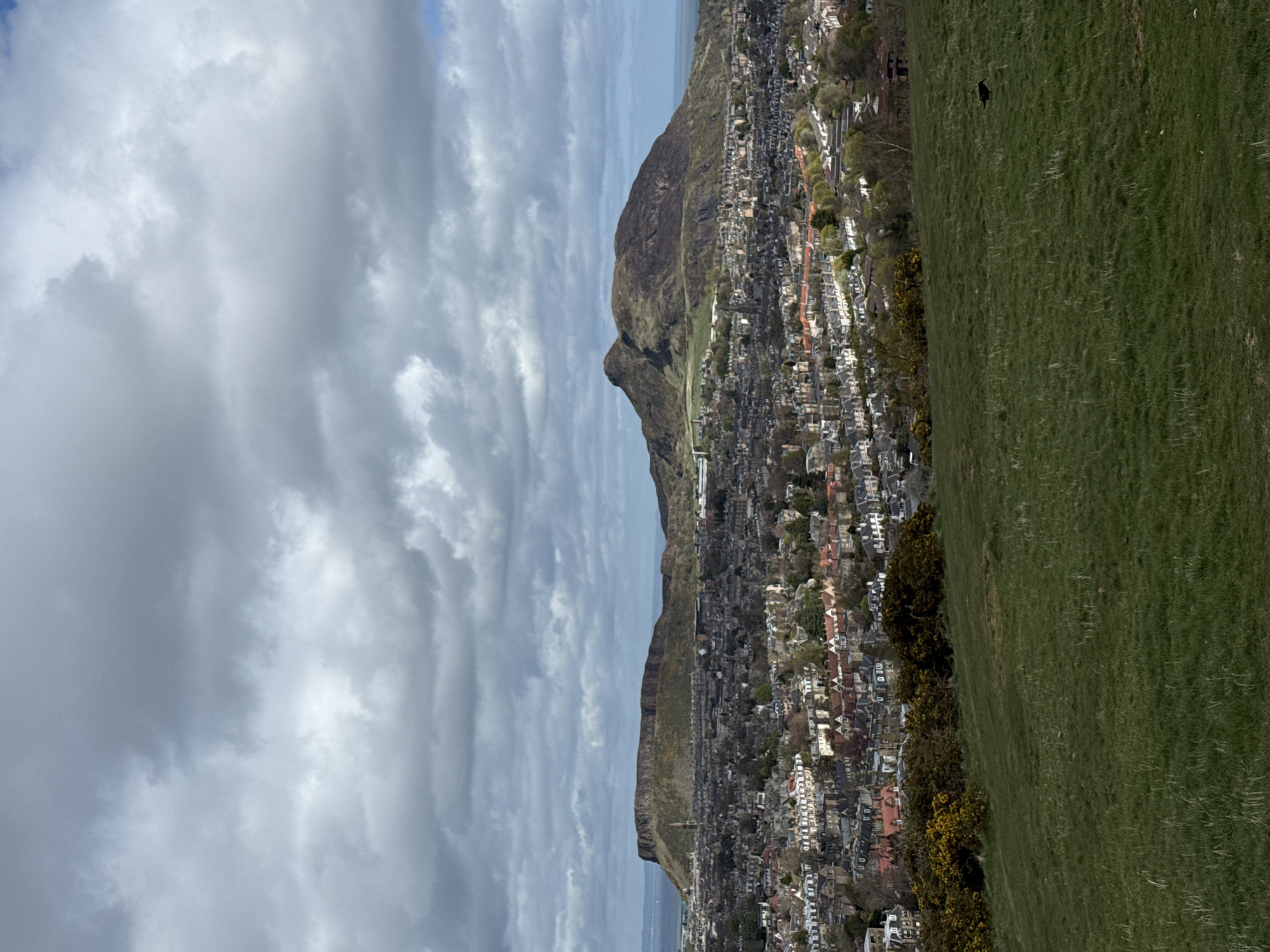 The image, presented rotated 90 degrees clockwise, captures a panoramic landscape view from a grassy hillside overlooking a city, a prominent hill, and a body of water under a cloudy sky.
In what would be the foreground if correctly oriented, a wide expanse of vibrant green grass dominates the right side of the frame, showing faint paths or worn areas. Along the edge where the grass meets the urban sprawl, several bushes with clusters of yellow flowers, likely gorse, add a touch of color. A small, dark, indistinct shape is visible on the grassy slope, towards the upper right of the grass area.
The mid-ground features a densely built urban area, with numerous buildings of various sizes and architectural styles, characterized by different colored roofs and facades. This city stretches horizontally across the middle of the image, leading to a large, rugged, dark brown hill or small mountain with a distinctive peak, strongly resembling Arthur's Seat in Edinburgh, Scotland.
Beyond the city and the main hill, a calm, blue-grey body of water, likely the Firth of Forth, extends to the horizon. The sky, which occupies the left side of the image, is heavily overcast with multiple layers of grey and white clouds, suggesting a cloudy but bright daytime, possibly late morning or early afternoon. Some patches of clearer, lighter blue sky are visible through the cloud cover. No people or legible text are visible within the frame.