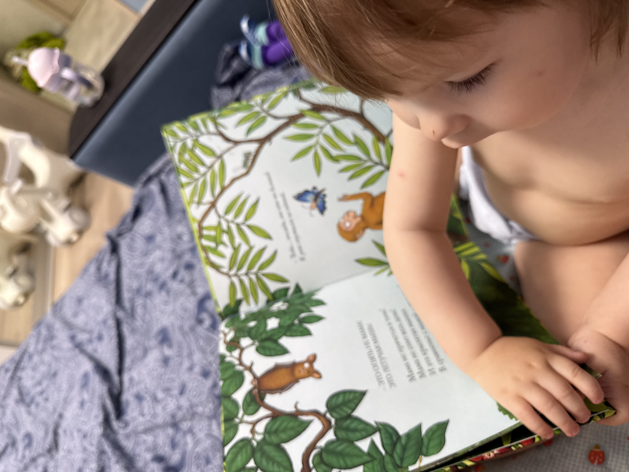 A close-up shot shows a young child, likely a toddler, looking down at an open book. The child has light brown hair and is wearing a diaper. Their right arm and hand are visible, resting on the open pages of the book. The book features illustrations of a monkey and a butterfly on one page, and a small brown creature on a branch surrounded by green leaves on the other. There is text in an unfamiliar alphabet on both pages.
The child appears focused on the book. The setting suggests an indoor environment, possibly a home, given the presence of a patterned fabric that could be a blanket or upholstery in the background, and a dark blue cushioned surface behind the child, possibly part of a sofa or chair. To the left, out of focus, are several white objects resembling toy animals or decorations. A pink and green object, possibly a pacifier or toy, is also visible in the background. The lighting suggests daytime. There is no indication of the weather. The location is identified as Moscow, Russia.