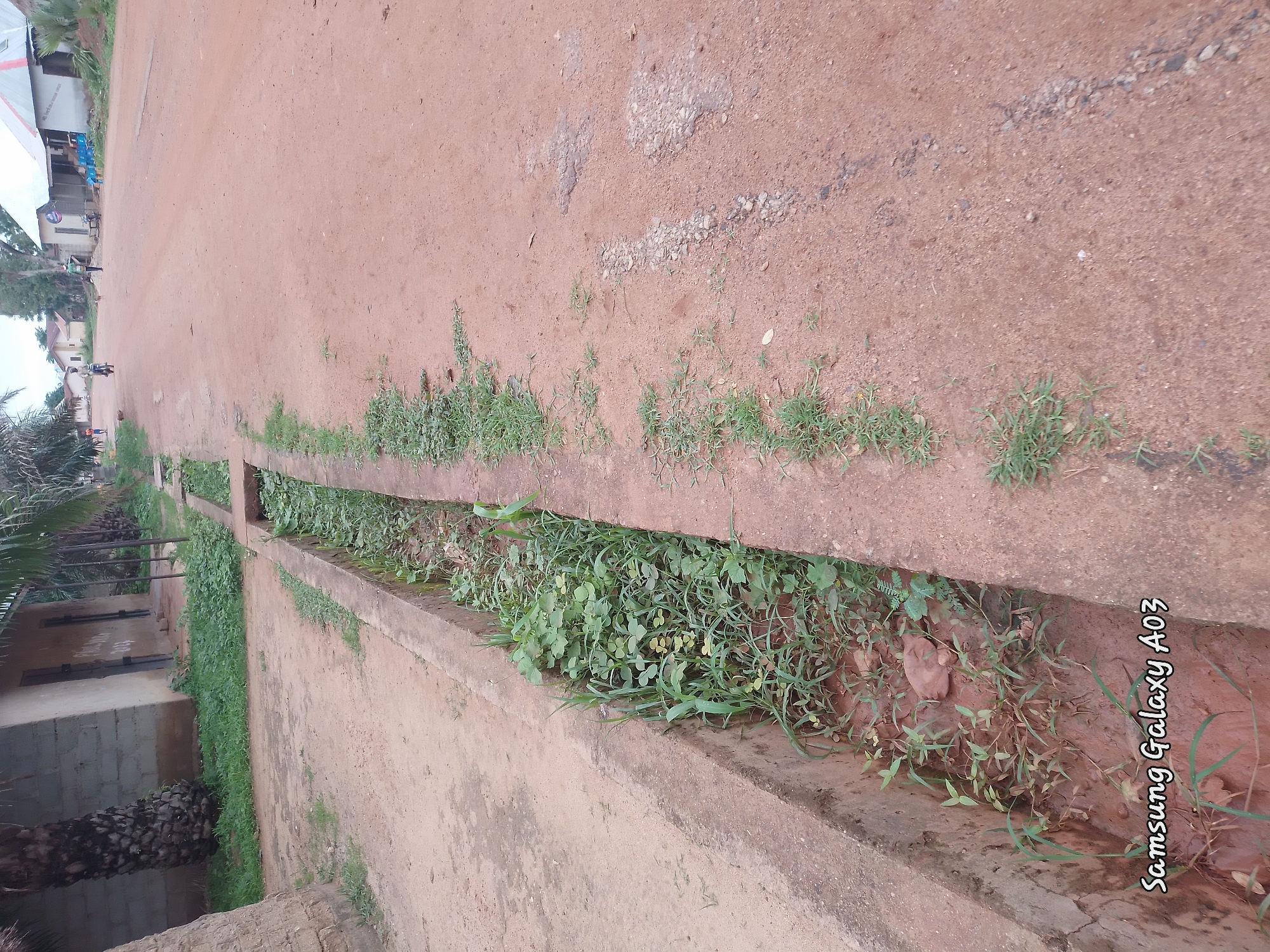 A medium-shot, eye-level, horizontal, outdoor photograph captures a dirt road in Doka-Tofa, Nigeria. On the left, a concrete drainage ditch is partially filled with green vegetation. The road itself is unpaved and reddish-brown, with some small pebbles and patches of darker soil. In the background, several buildings line the right side of the road. One building has a white, corrugated metal roof, and another appears to be made of concrete blocks with a beige facade. A few people are visible in the distance on the road. One person rides a motorbike, and another walks. A dog also appears to be present. The sky is overcast. The bottom left corner of the image displays the watermark "Samsung Galaxy A03".