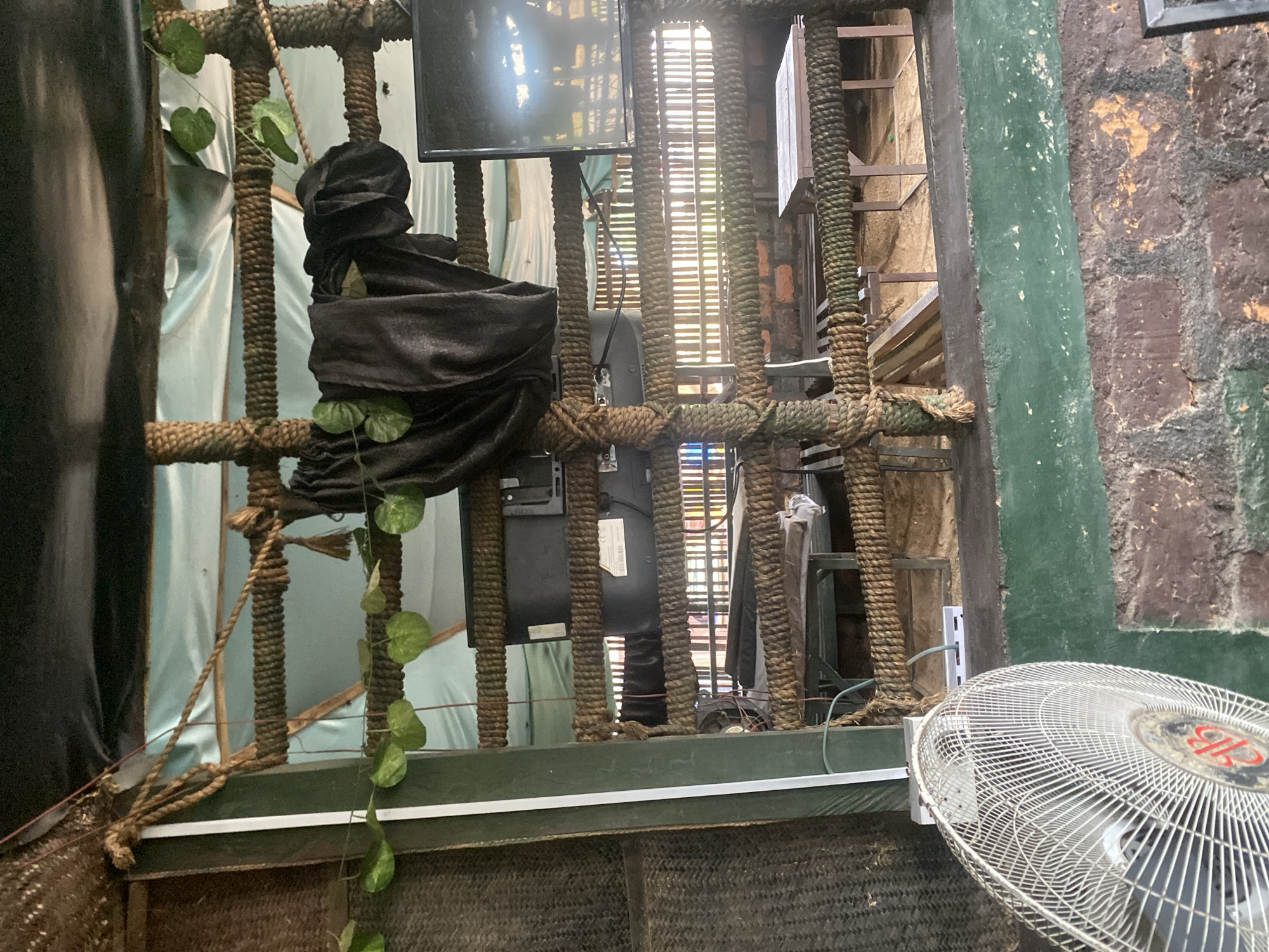 The image shows an indoor scene that appears to be a makeshift outdoor seating area, possibly a cafe or restaurant, in Jalingo, Nigeria. The structure is constructed with rough wooden beams and thick rope, creating a rustic and open-air feel. A black tarp covers the ceiling, and a light blue plastic sheeting is visible behind the rope structure. Green artificial leaves are draped along the ropes.
Dominating the central area are two television screens, one larger than the other, mounted on the rope structure. A dark grey cloth is draped over the ropes in front of one of the TVs. Below the televisions, there are glimpses of seating areas with wooden tables and benches, some of which appear to be made from reclaimed wood. The flooring is sandy, and a brick wall is visible in the lower right portion of the image.
In the foreground on the left, a white electric fan with a red emblem on its base is positioned. The fan is angled slightly upwards. The overall impression is one of an informal, perhaps under-construction or minimally furnished, establishment. The lighting suggests it is daytime, with natural light filtering through the slatted wooden partitions in the background.
