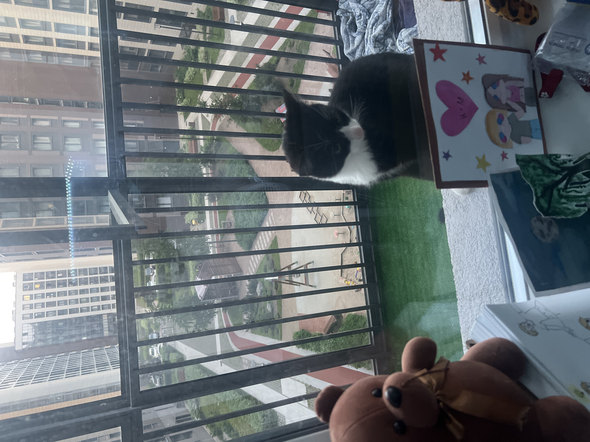 The image depicts a view from an elevated position, likely a balcony or window, overlooking a modern residential complex in an Unknown city, Russia. In the foreground, a brown teddy bear with a gold ribbon is positioned on the left. To the right, a black and white cat sits on a ledge, its head turned downwards and to the right, adjacent to a crumpled blue and white blanket. Below the cat, a small, framed drawing featuring two cartoon characters, a pink heart with "H + M" inside, and stars, stands upright. The outdoor scene is viewed through a glass panel and a dark metal railing with vertical bars. Immediately outside the glass, a strip of artificial green turf is visible. The residential complex features multiple contemporary multi-story buildings with varied facades, some light-colored and others darker, and numerous windows. The central courtyard below is extensively landscaped with green areas, trees, and shrubs. A network of red-colored running tracks and light-colored paved walkways winds through the space. A children's playground is present, including a sandpit with colorful toys, an A-frame swing set, and other wooden structures. Benches and modern streetlights are interspersed along the pathways. Several cars are parked along the edge of the complex. The lighting is diffused, suggesting an overcast sky.