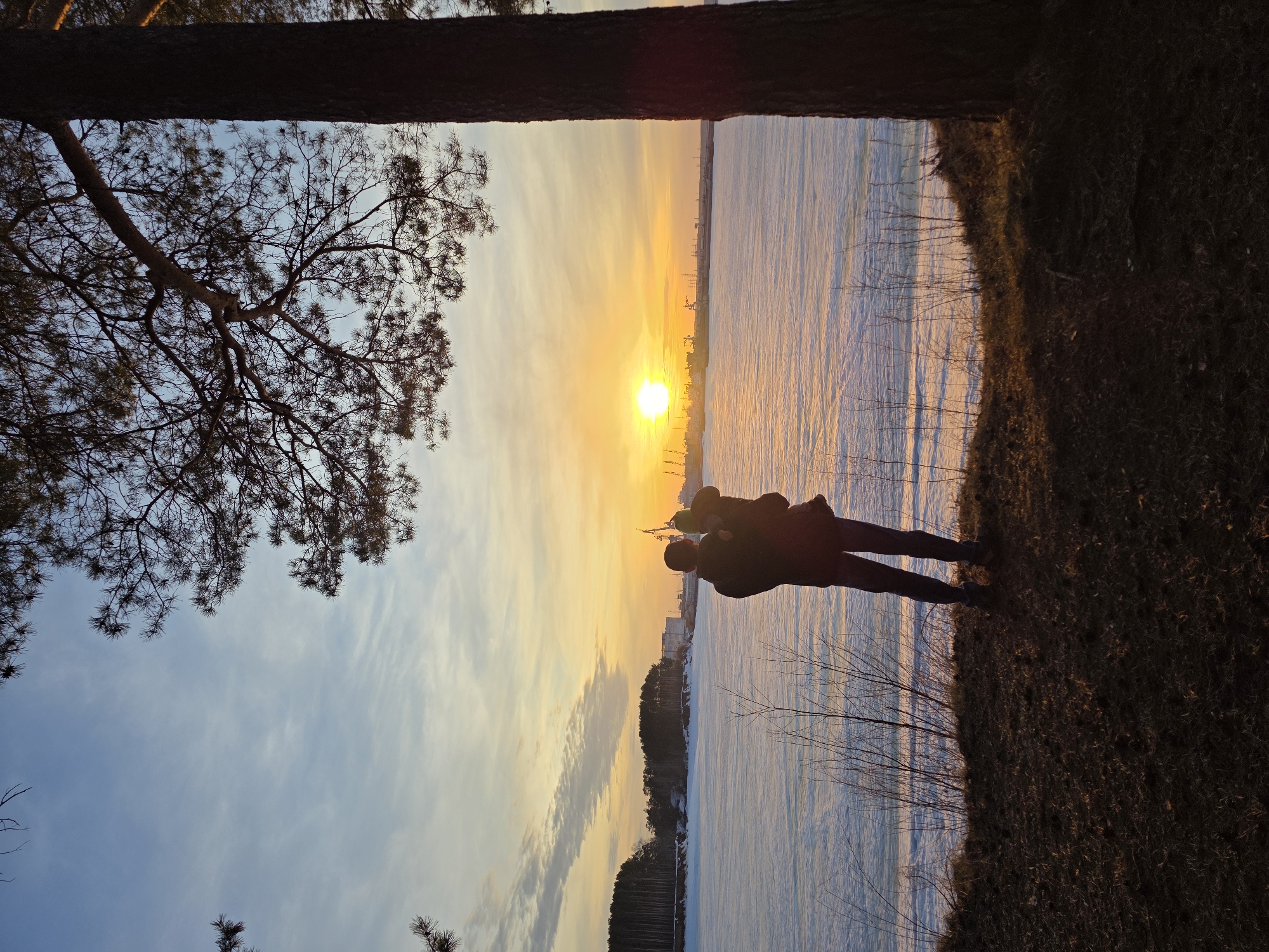 The image presents a sunset view over a vast, frozen body of water, identifiable as the Kama River or Votkinsk Reservoir in Chaikovsky, Russia. In the immediate foreground, a dark, sparsely vegetated earthen bank is visible, with bare shrub branches extending upward. A large pine tree trunk occupies the right side of the frame, its branches silhouetted against the sky. An adult, clad in a dark coat and pants, is positioned on the bank, facing away from the viewer, holding a child who wears a light-colored hat. Both figures are silhouetted against the bright horizon, observing the scene. The frozen water surface is predominantly white, reflecting the warm hues of the setting sun and the cool blue of the sky. The distant bank features a dense coniferous forest to the left and an industrial port facility to the right, characterized by multiple cranes and what appear to be docked vessels. The sky above is clear with scattered wispy clouds, dominated by a bright orange sun low on the horizon, radiating yellow and orange light across the expanse.