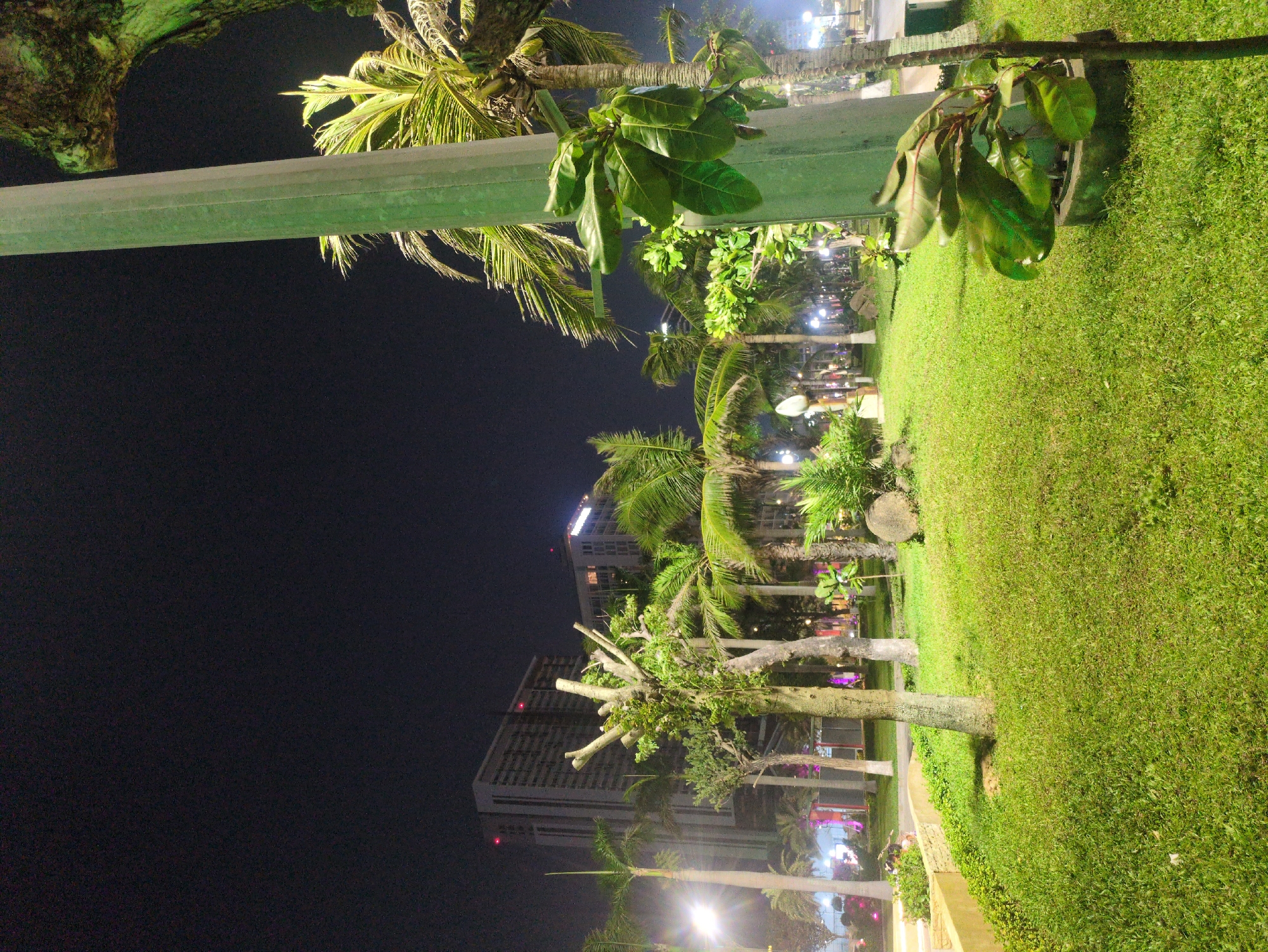 The image shows a night view in the South Quy Nhon Ward, Vietnam. The scene includes a dark sky, illuminated by artificial lights along a grassy area with palm trees and other foliage. Buildings are visible in the background, lit up against the night sky. A green beam or structure is visible in the foreground, potentially a support for lighting or signage. The grass appears well-maintained. No people are visible in the image.