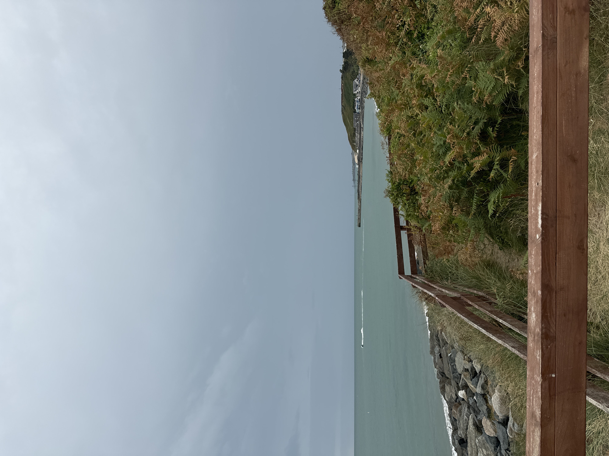 The image depicts a coastal scene in Courtown, Ireland, under an overcast sky. In the foreground, a weathered wooden fence runs horizontally across the lower portion of the frame. Beyond the fence, a path is visible, bordered by tall, dry grasses and vibrant green and brown ferns.
To the left of the path, a rocky shoreline meets the sea. The water is a muted green, with small waves lapping against the stones. A jet ski can be seen in the distance, leaving a white wake as it moves across the water.
Further along the coast, a town is nestled on a hill, with a pier extending into the sea. The buildings appear to be of a moderate size, and the overall landscape suggests a coastal village setting. The sky is a uniform gray, indicating cloudy or possibly rainy weather. The scene is devoid of any people, focusing instead on the natural environment and the man-made structures along the coast.