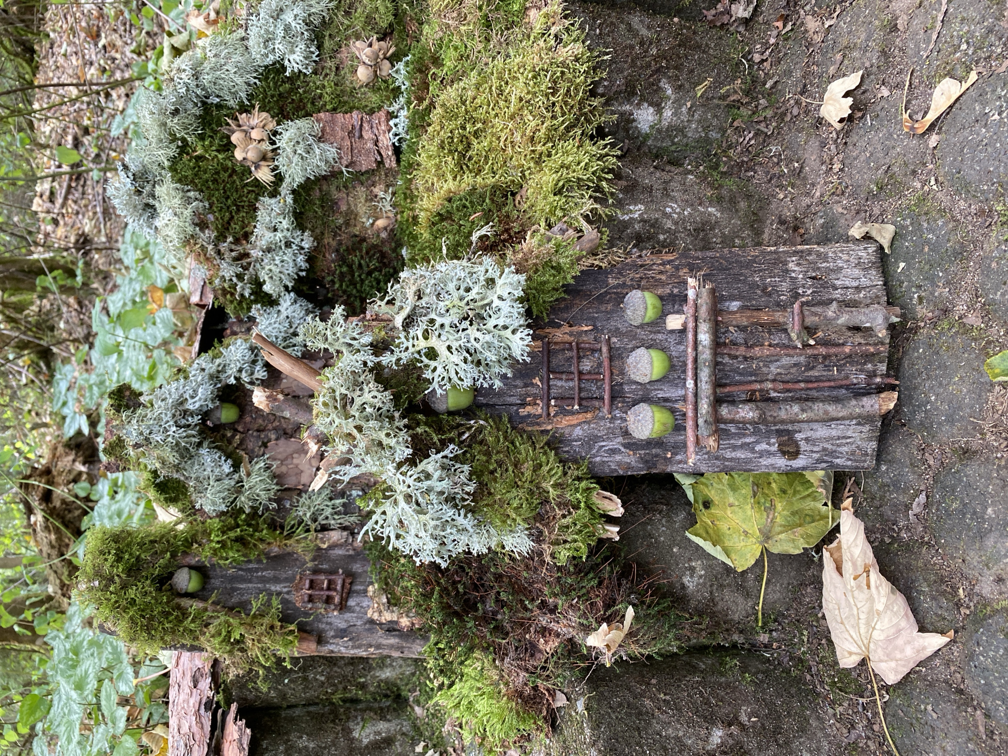 This image displays a fairy house constructed from natural materials in Altenkirchen, Germany. The fairy house is built on a stone wall and is decorated with moss, lichen, acorns, and twigs. The structures are made from hollowed-out logs and branches, with tiny windows and doors fashioned from twigs. Acorns are used as decorative elements, resembling small houses or lamps. The scene is set in a woodland environment, with fallen leaves and visible tree trunks in the background. The lighting suggests it is daytime. There are no people visible in the image.