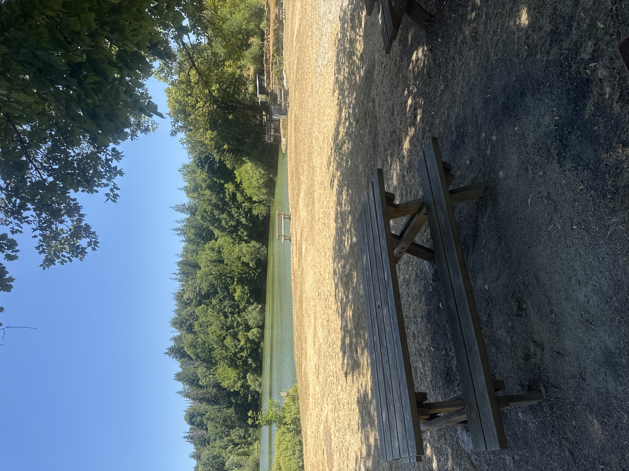 A picnic table sits on dry, golden grass in front of a lake. The lake is surrounded by a dense forest of green trees. The sky is clear and blue. There are other picnic tables and benches scattered around the grassy area. A wooden dock extends into the lake in the background. The scene appears to be a public park or recreational area.