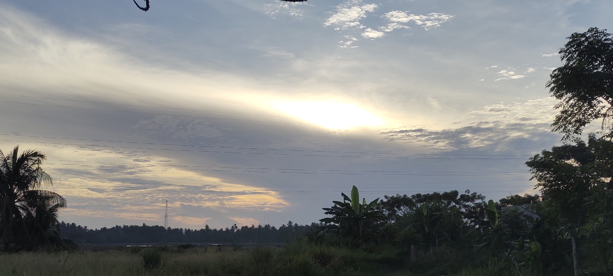 The image captures a tranquil landscape in Lhokseumawe, Indonesia, likely during dawn or dusk. The sky is dominated by layers of clouds, with a bright patch in the center indicating the sun's position, either rising or setting. Power lines stretch across the frame, adding a human-made element to the natural setting. Below the horizon, there's a dense area of lush vegetation, including palm trees, banana plants, and various types of trees. A communication tower is visible in the distance amidst the foliage. The foreground shows a field of tall grasses, giving depth to the scene. No people are visible.