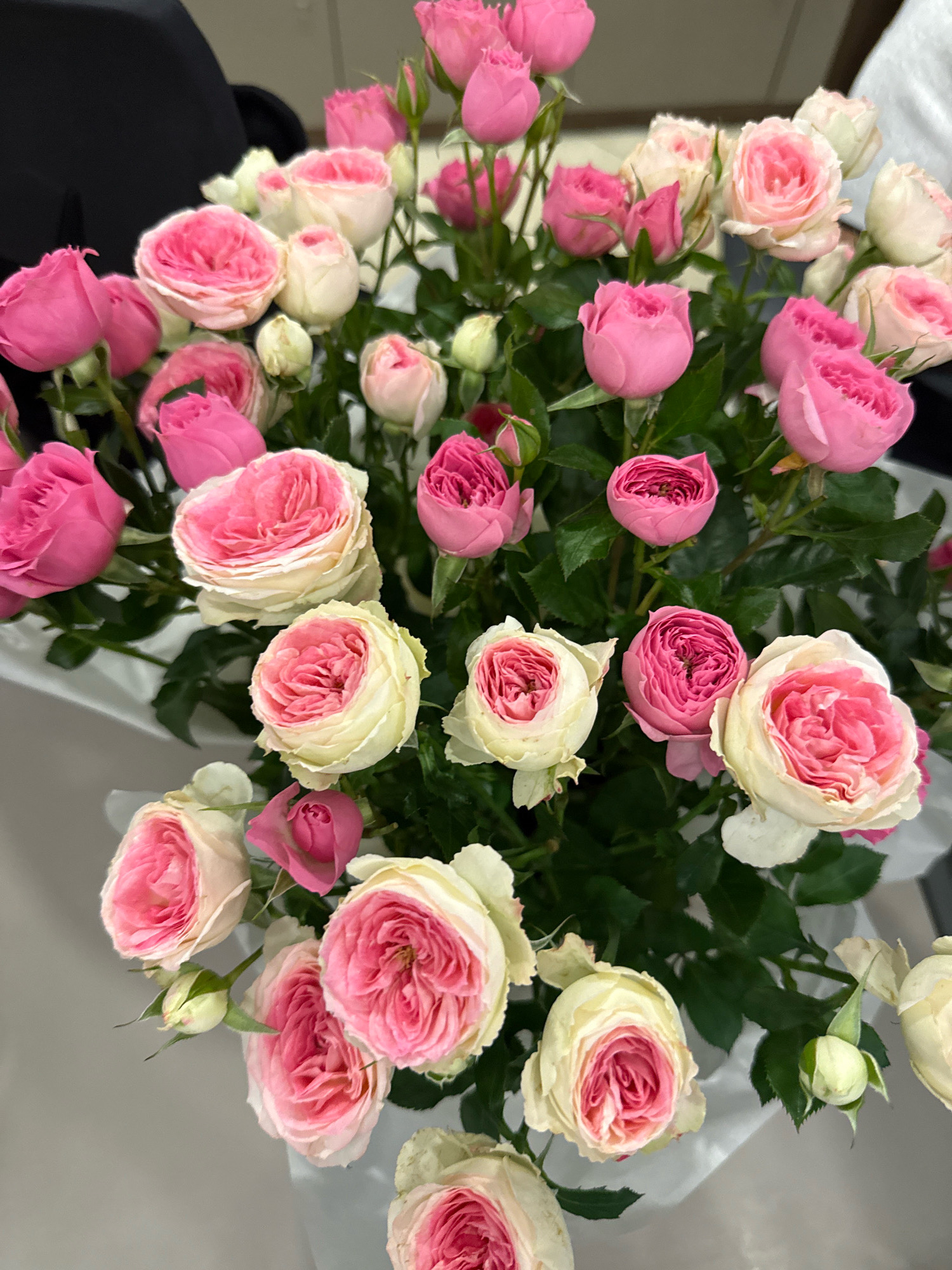 This is a close-up, eye-level, full-shot photograph of a bouquet of roses. The roses are predominantly pink and white, with some buds. The bouquet is arranged in white tissue paper. The background is blurred and appears to be an indoor setting, with a dark object that could be furniture or clothing on the left and a light-colored wall or surface on the right. The lighting is bright and natural, illuminating the flowers and creating soft shadows. The image was taken in Bishkek City, Kyrgyzstan.