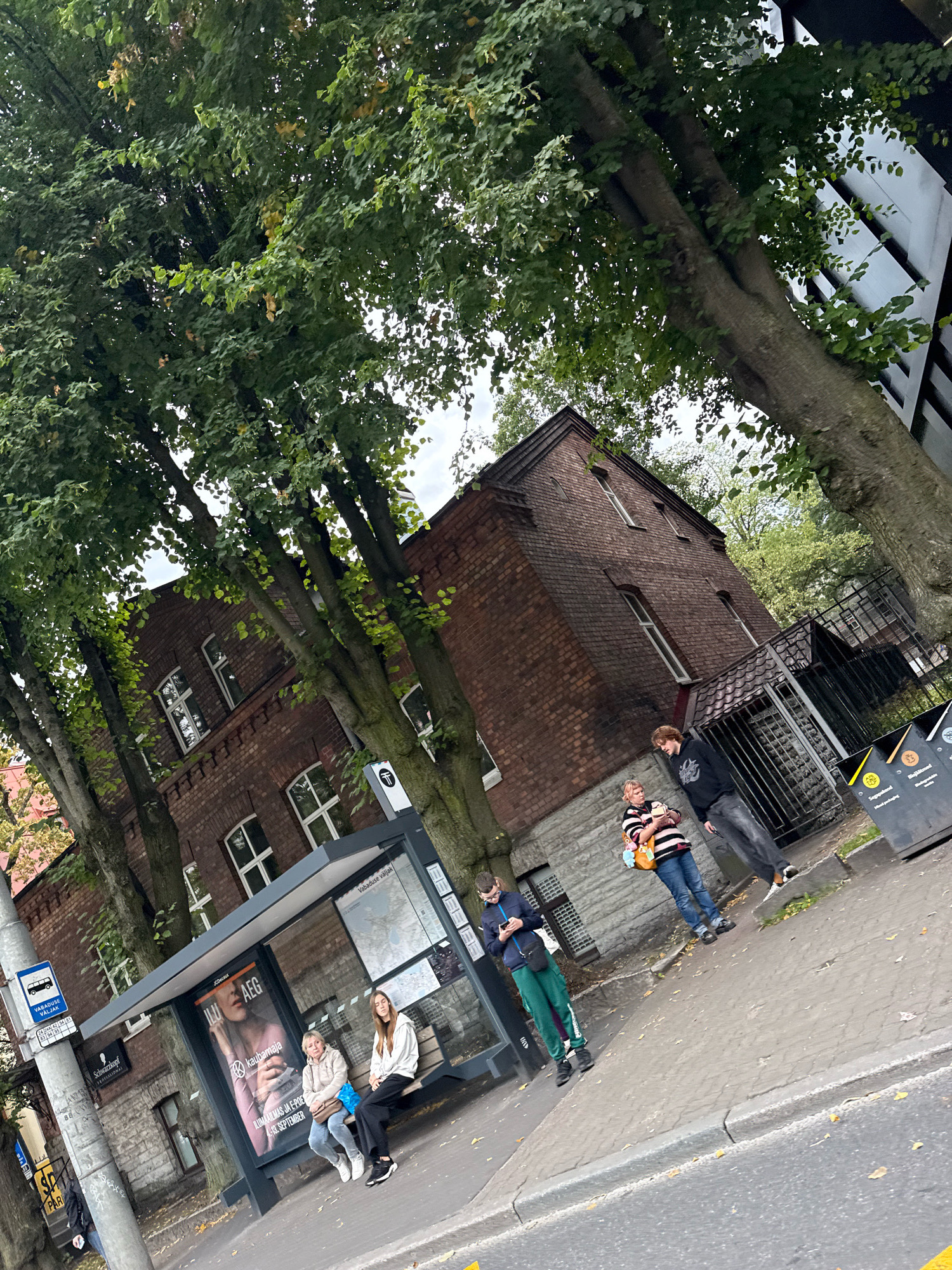The image depicts a bus stop in Tallinn, Estonia, on a cloudy day. A brick building with multiple windows and a tiled roof forms the backdrop. Trees with green leaves line the street, partially obscuring the building. At the bus stop, two women are seated on a bench, one wearing a light-colored hoodie and black pants, the other in a light-colored jacket and jeans. A poster featuring a woman's face and text in a foreign language is displayed inside the bus stop. To the left of the bus stop, a man in a dark jacket and green pants stands looking at his phone. Further down the sidewalk, a young man wearing a black hoodie and dark jeans is walking, holding a basket. Near the bus stop are two trash bins with labels in a foreign language, one yellow and one black. A street sign with a bus icon and text in a foreign language is visible on a pole. The sidewalk is paved with gray stones and shows scattered autumn leaves. The road in the foreground is asphalt with yellow markings.