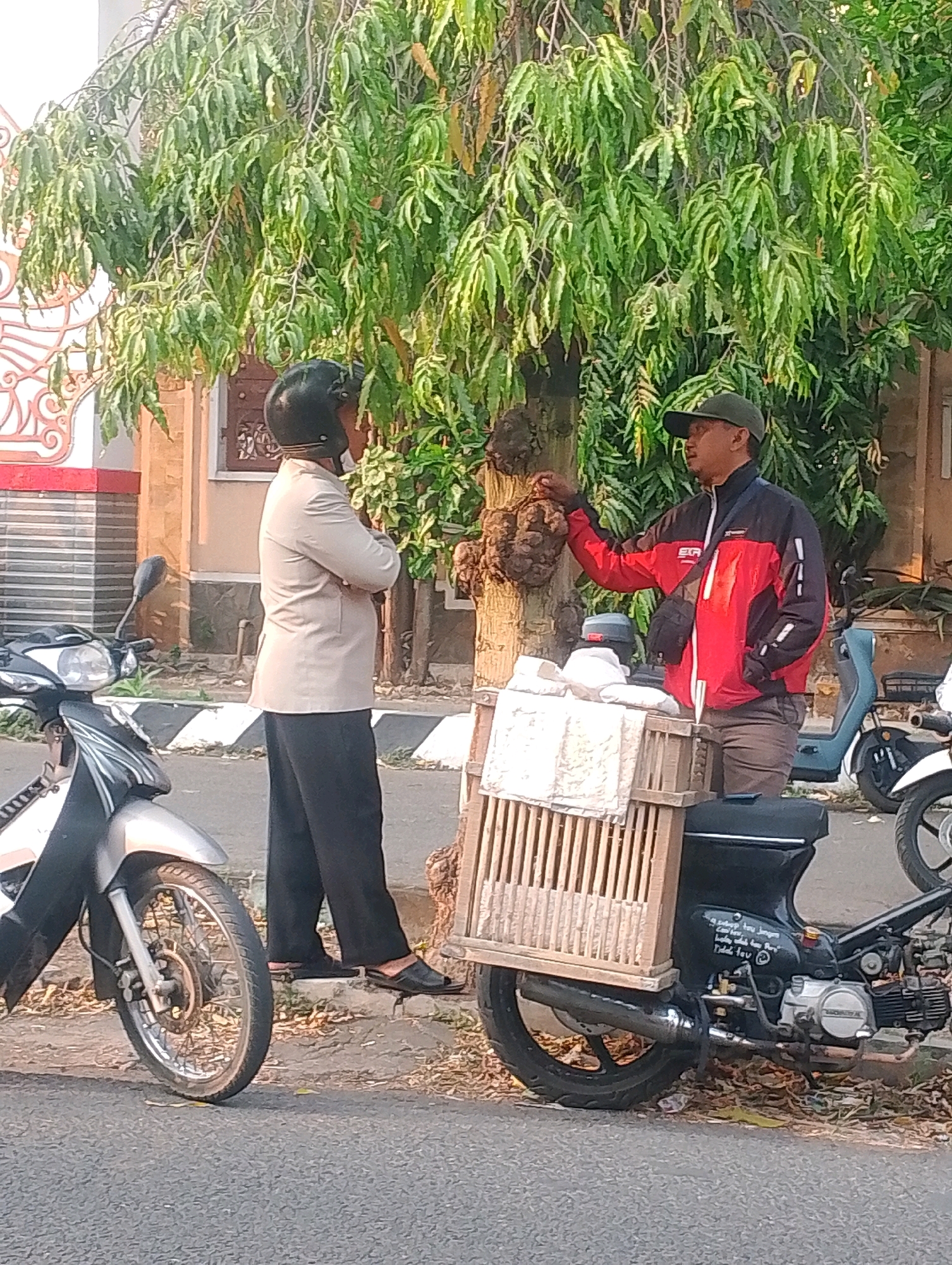 Two men are standing next to motorcycles on a paved road. The man on the left is wearing a light-colored blazer, dark pants, a helmet, and sandals. He has his arms crossed. The man on the right is wearing a red and black jacket, gray pants, a cap, and sandals. He is reaching out towards a tree. A wooden cage with a white cloth draped over it is attached to the back of his motorcycle. The environment appears to be a street in the city of Probolinggo, Indonesia, with a building and lush green trees in the background. The scene is lit by natural sunlight, suggesting it is daytime.