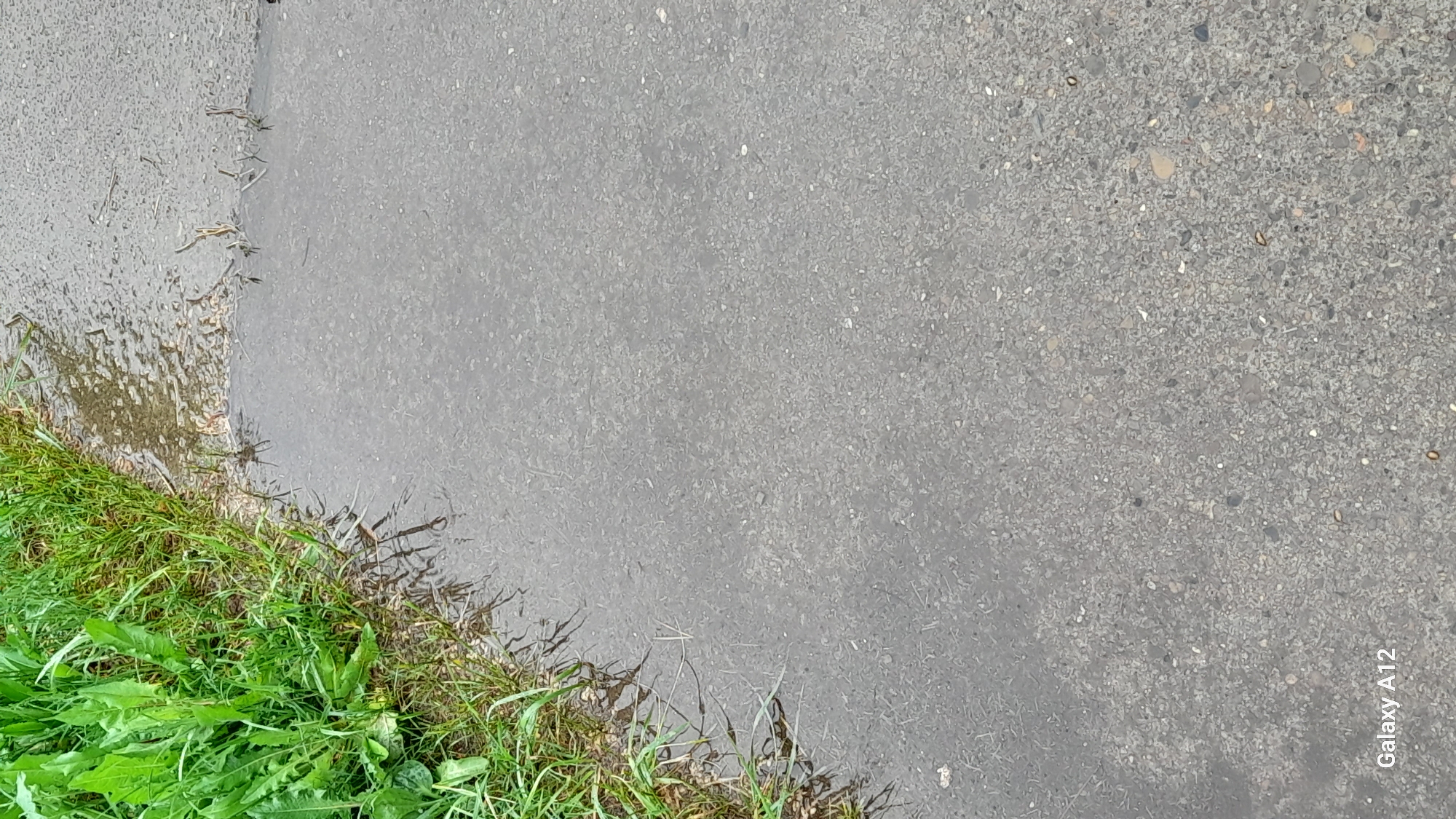 The image shows a section of paved asphalt, likely a street or sidewalk, partially covered with water or recent rain. The left edge of the pavement transitions into an area of green grass and weeds, some of which are wet. The asphalt's texture appears slightly uneven and worn. The location, based on the camera information, is likely near Марковский, Russia, as the "Galaxy A12" watermark suggests a photo taken on that device. There are no people visible in the image. The overall impression is of a wet, somewhat neglected urban or suburban environment.