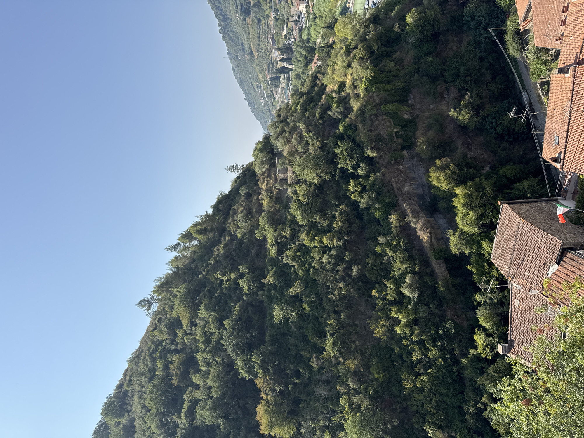 The image depicts a view of a steep, densely forested hillside and a valley town in Dolceacqua, Italy. In the foreground, terracotta-tiled roofs of houses are visible. The hillside is covered with a thick canopy of green trees and shrubs, with some rocky outcrops. Further in the distance, the valley reveals a town with buildings clustered together, a church with a tall steeple, and a sports field. The sky is a clear, bright blue. The overall impression is one of a rural, Mediterranean landscape bathed in sunlight.