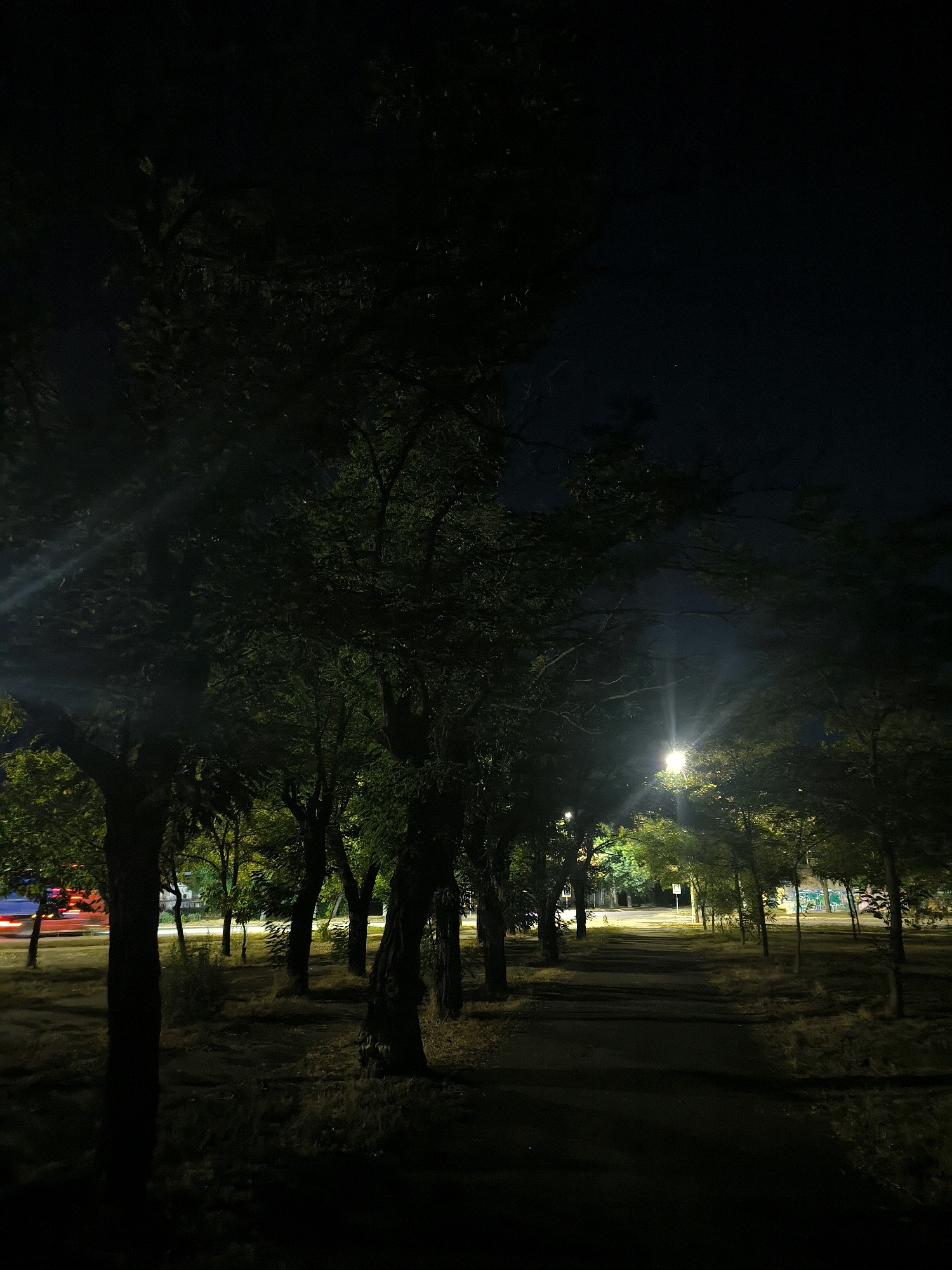 A nighttime view of a tree-lined path in an urban park in Mykolaiv, Ukraine. The path is paved and appears to be an area for pedestrian traffic. On the left side of the path, there is a road with some motion blur, suggesting passing vehicles. Streetlights illuminate sections of the path, casting a warm glow on the surrounding trees and ground. The trees are deciduous, with dense foliage that obscures the night sky in many areas. The grass and ground cover are visible in patches and appear dry. In the background, there are buildings and possibly some graffiti on a wall, indicating the park is situated within a city environment. The overall atmosphere is quiet and somewhat isolated, illuminated by artificial light sources.