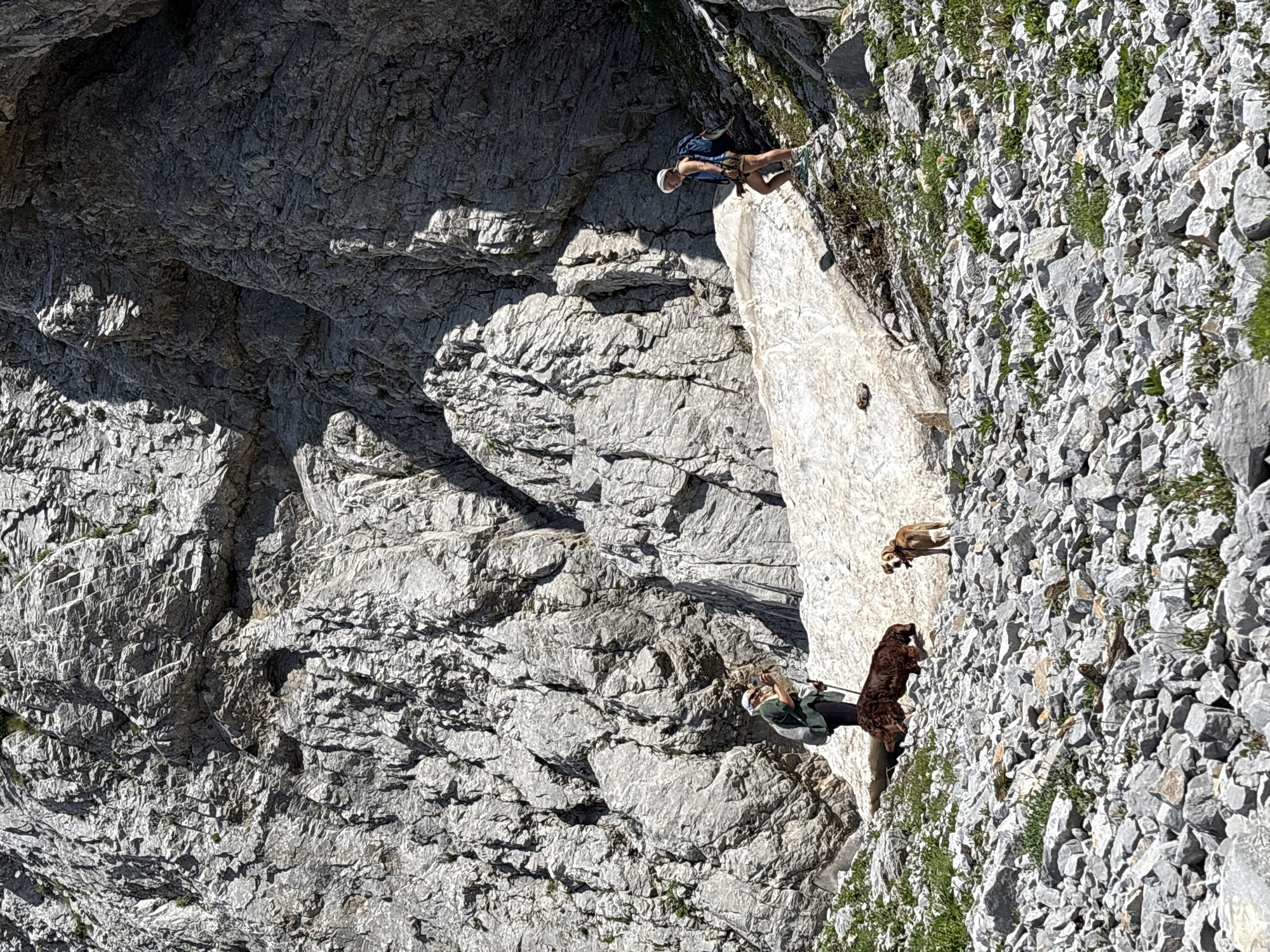 The image shows a rocky, mountainous terrain in Katun Vulića, Montenegro. In the mid-ground, a person wearing a green shirt and a white head covering stands with a hiking pole, accompanied by two dogs. One dog is a large, dark brown, shaggy breed, and the other is a smaller, lighter brown dog. To the right of them, another person wearing a blue shirt, khaki shorts, and a white hat is walking with a backpack, also holding a hiking pole. The background consists of a large, imposing rock face with visible strata and shadows. The foreground is covered in loose grey rocks and sparse green vegetation. A patch of melting snow or ice is visible on a slope between the two groups of people. The lighting suggests it is daytime, likely sunny.