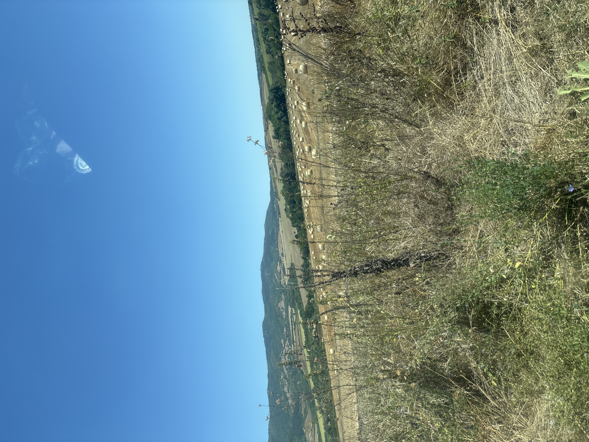 The image displays a rural landscape under a clear blue sky. In the foreground, dry, tall grasses and some green vegetation dominate the frame. The middle ground features a field of harvested crops with numerous round bales of hay scattered across it. Beyond the hayfield, a lush green forested hill rises, with a few scattered buildings visible on its slopes. The overall impression is one of a rural agricultural area, likely in Vidrare, Bulgaria, during a sunny day.
