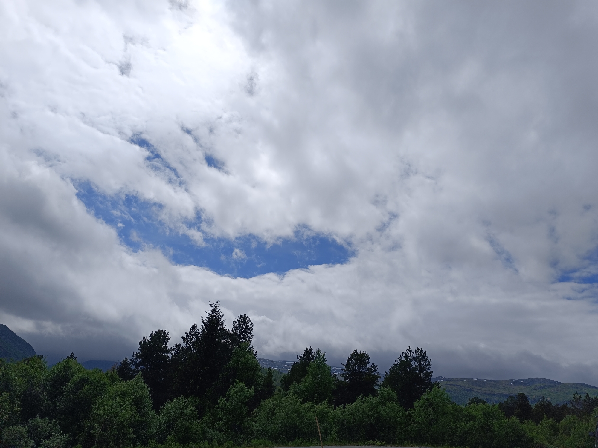 The image shows a landscape in Hovden, Norway, under a dramatic sky. The foreground is dominated by a dense line of green trees, with a variety of deciduous and coniferous species creating a textured foliage. The trees range in height, with some taller, darker conifers piercing the canopy. The middle ground features rolling hills covered in green vegetation, with some patches of snow visible on the higher slopes, indicating a mountain environment. The sky is a significant element, filled with large, billowing clouds that vary in color from bright white where illuminated by the sun, to dark grey and ominous in shadowed areas. A notable break in the clouds reveals a patch of clear, vibrant blue sky. The overall impression is of a natural, rugged landscape, possibly taken from a viewpoint slightly elevated above the tree line.