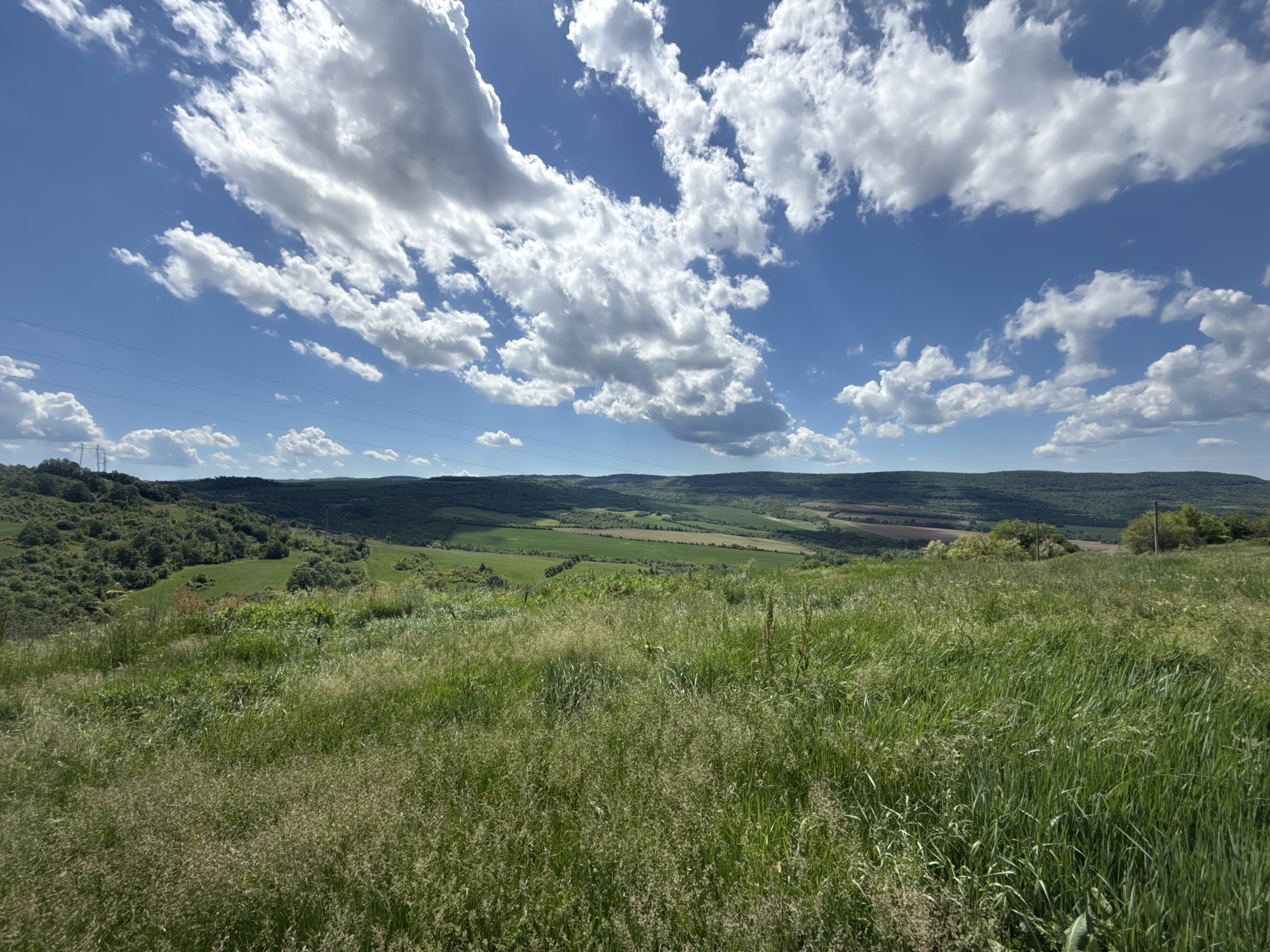 The image depicts a rural landscape in Balkantsi, Bulgaria. A field of tall green grass occupies the foreground, giving way to a valley with rolling hills and cultivated fields. Beyond the valley, forested hills rise toward the horizon. A clear blue sky is punctuated by scattered cumulus clouds. Overhead power lines are visible in the distance.