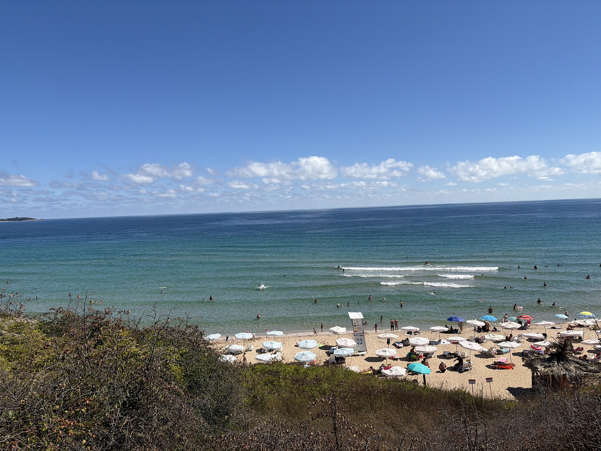 This is a high-angle, wide shot of a beach in Primorsko, Bulgaria, on a sunny day with a clear blue sky and scattered white clouds. The foreground is dominated by dry, brown vegetation. The middle ground features a sandy beach with numerous beach umbrellas and lounge chairs, many of which are occupied by people. Several individuals are also visible swimming and wading in the clear, turquoise ocean. The background shows the vast expanse of the sea meeting the horizon.