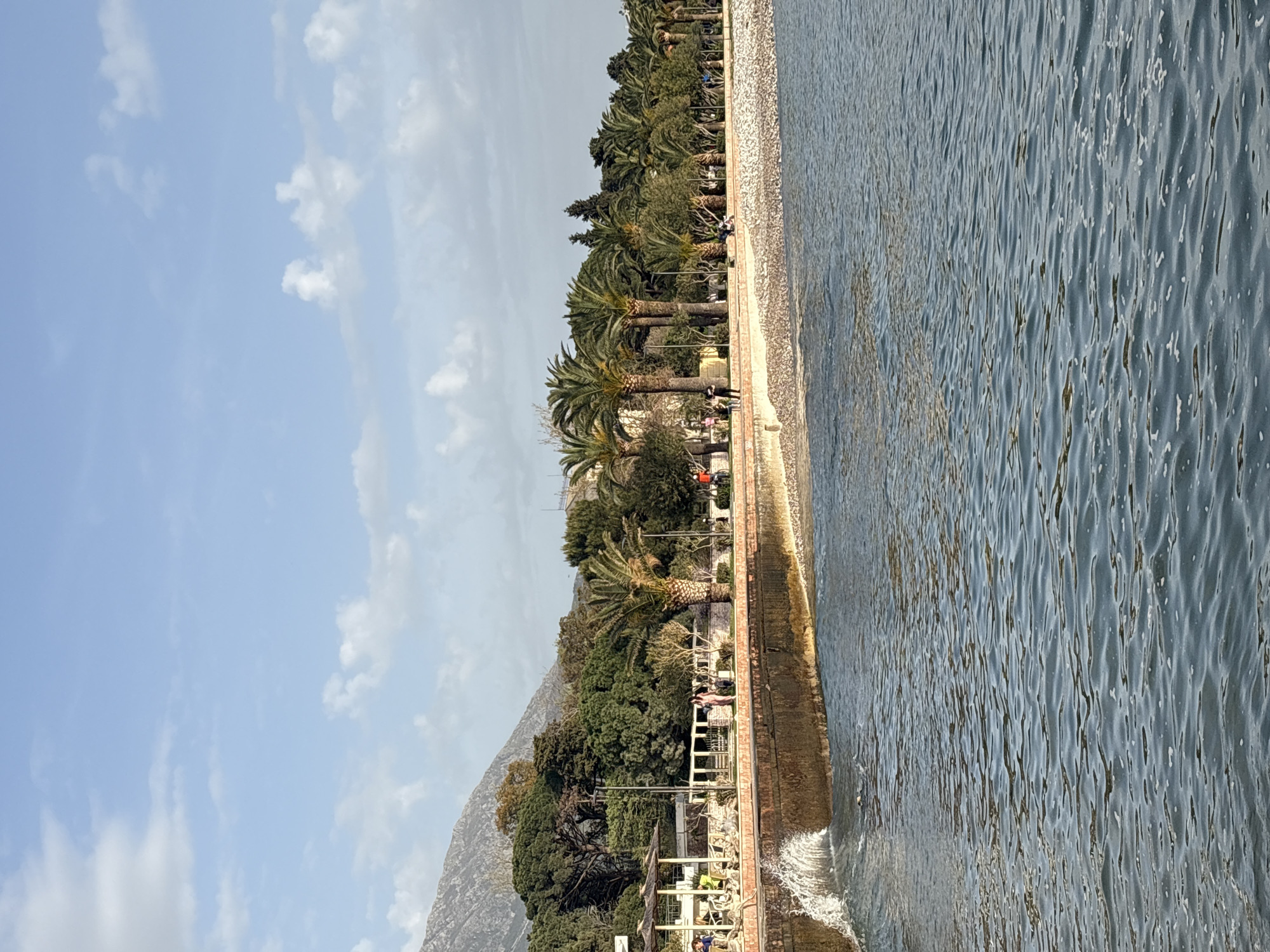 The image depicts a coastline in Bar, Montenegro, with a man-made barrier separating the beach area from the sea. The water is rippled and dark. A raised promenade runs along the coastline, lined with palm trees and other vegetation. People can be seen along the promenade. In the background, a mountain rises into a partly cloudy sky. The sky is predominantly blue.