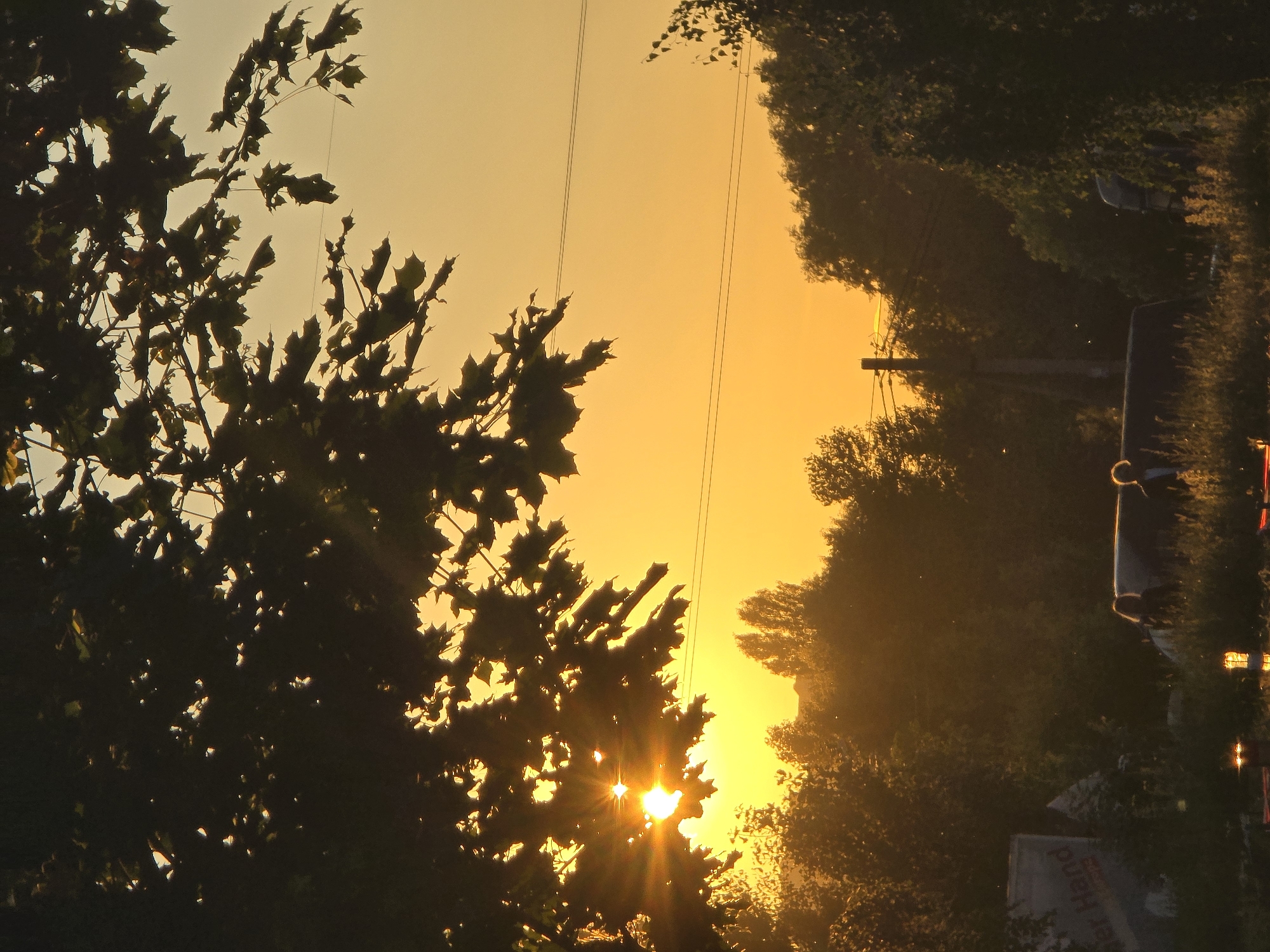 An outdoor, vertical, medium shot captures a sunset over Sofiivska Borshchahivka, Ukraine. Silhouetted branches of a deciduous tree dominate the upper portion of the frame, with the sun's rays piercing through the leaves, creating a starburst effect. The sky is a vibrant orange-yellow. In the mid-ground, a line of silhouetted trees forms a dense horizon. Below the trees, in the foreground, are the silhouettes of two individuals standing next to a vehicle, with grass and other vegetation in front of them. Several power lines are visible, strung across the sky. The overall scene depicts a natural landscape during twilight.