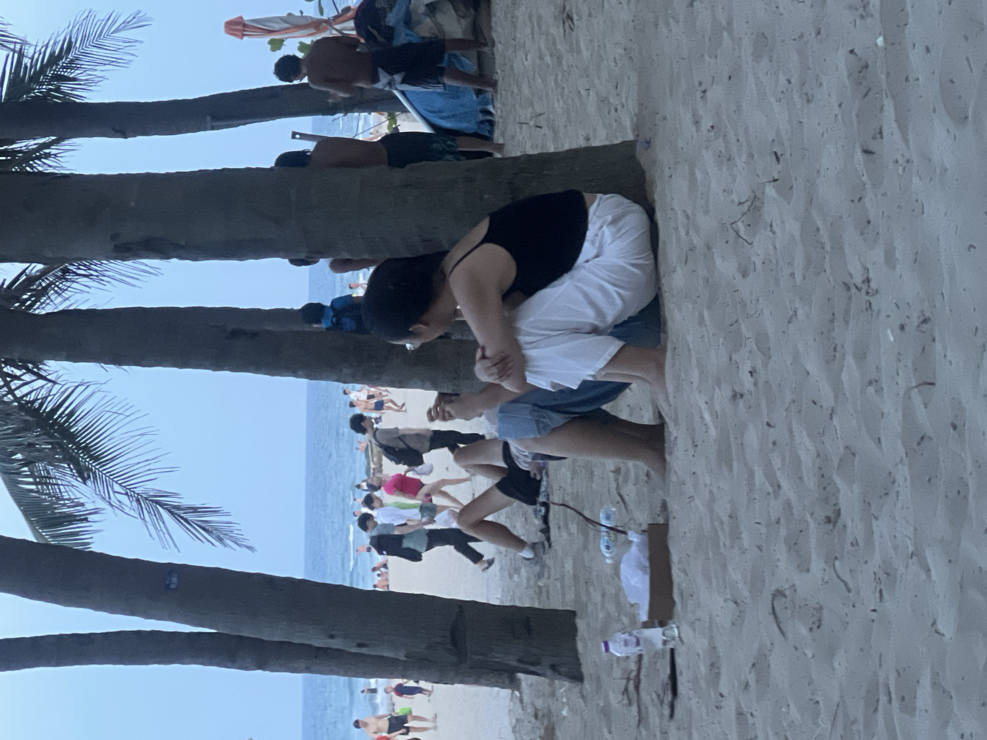 The image depicts a beach scene at Đà Nẵng, Vietnam, with a focus on a couple sitting by a palm tree in the foreground. The couple is partially obscured by the tree trunk, with the woman on the left wearing a black tank top and white pants, and the man next to her wearing a blue shirt and dark shorts. They appear to be looking out towards the ocean. Behind them, other beachgoers are visible, some walking along the shoreline and others relaxing. The ocean is calm with gentle waves, and the sky is a soft blue. Palm trees line the beach, casting shadows on the sand. In the distance, there are buildings and structures, suggesting a developed coastal area. There are several plastic water bottles and a cardboard box on the sand near the couple.