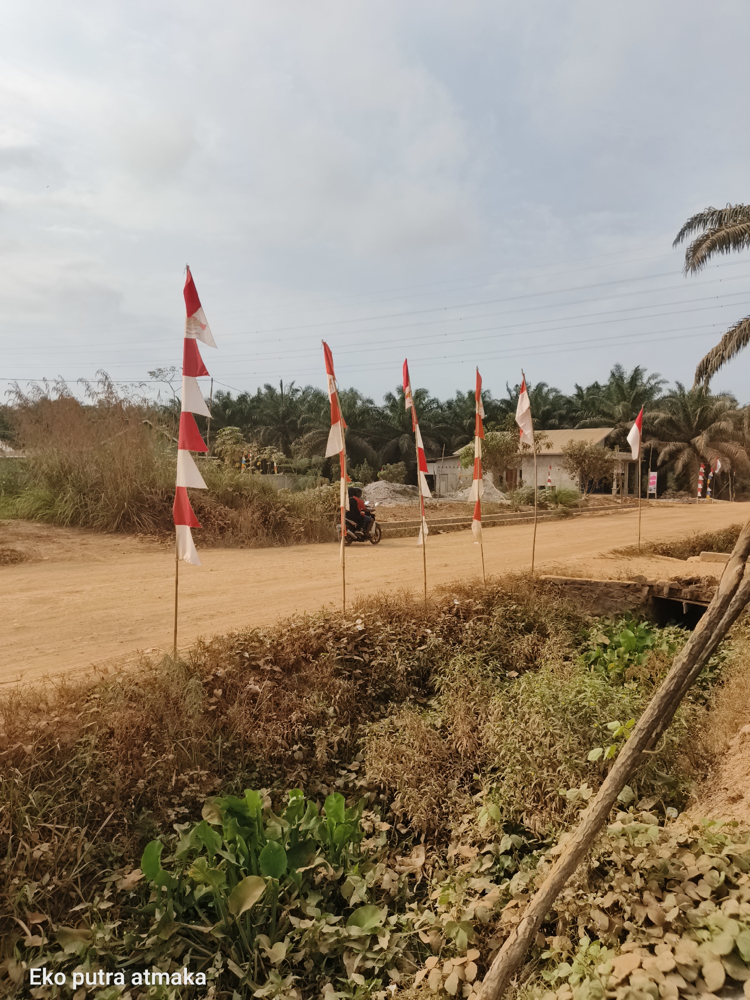 In Selimantan Jaya, Indonesia, a dirt road is lined with Indonesian flags, alternately red and white, planted on thin poles. The flags are arranged in a row along the side of the road. The road itself appears to be under construction or in a state of development, with piles of dirt visible. Lush vegetation, including tall grass and leafy plants, grows alongside the road and in a small ditch or waterway. In the background, palm trees and a building under construction are visible. A person on a motorcycle is seen riding away from the viewer on the dirt road. The sky is overcast with a few power lines stretching across it.