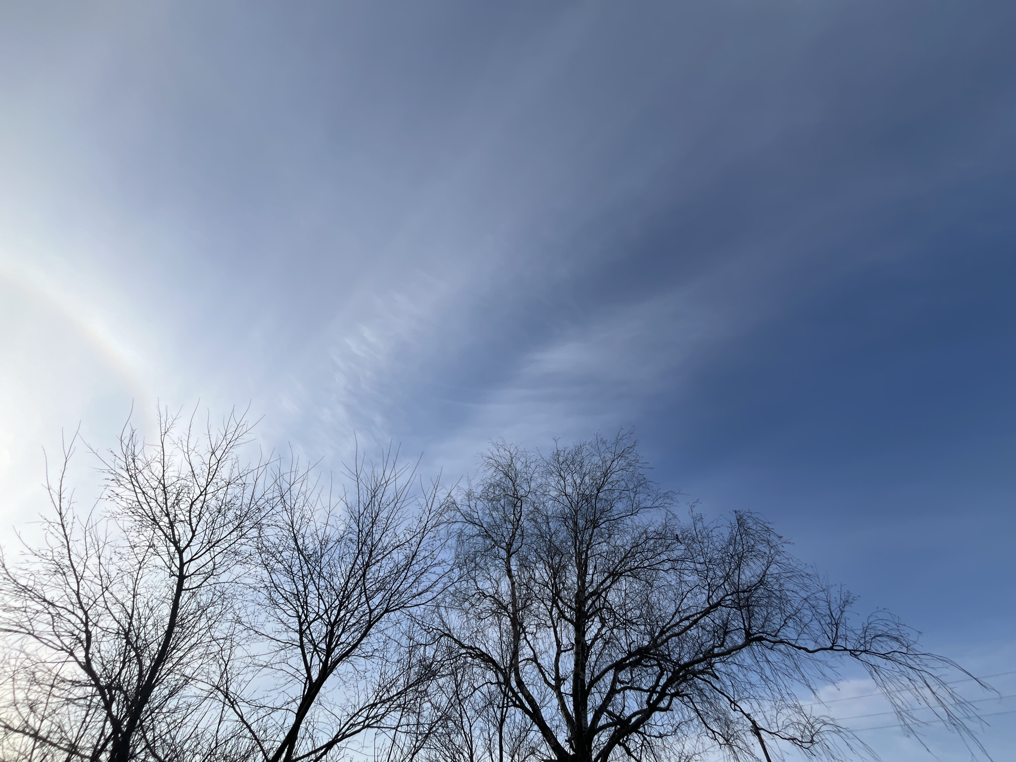 The image presents a view looking up at the sky through the bare branches of trees. The sky is a mix of light and darker blue tones, with some faint cloud-like streaks visible. The branches are silhouetted against the sky, with intricate details of their structure and bare twigs. The location is Павловка, Russia based on image metadata.