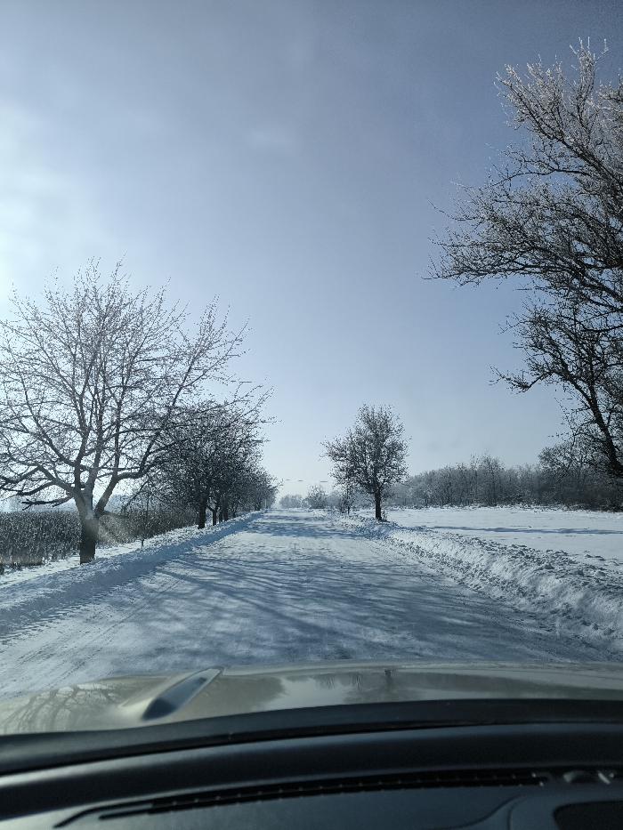 The image displays a snow-covered rural road in Khrinivka, Ukraine, viewed from inside a vehicle, with the dashboard and windshield visible at the bottom. The scene is under a clear, bright blue winter sky, with sunlight originating from the left, casting long, dark shadows of trees across the frozen road surface. The road, showing visible tire tracks in the snow, extends straight into the hazy distance. A row of bare deciduous trees, some with visible frost or rime ice on their branches, lines the left side of the road. Beyond these trees, a snow-covered field or orchard is visible. On the right side of the road, a wide expanse of undisturbed snow stretches into the background, where a line of dense, bare trees forms a dark silhouette. No individuals, animals, or specific actions are discernible within the frame.