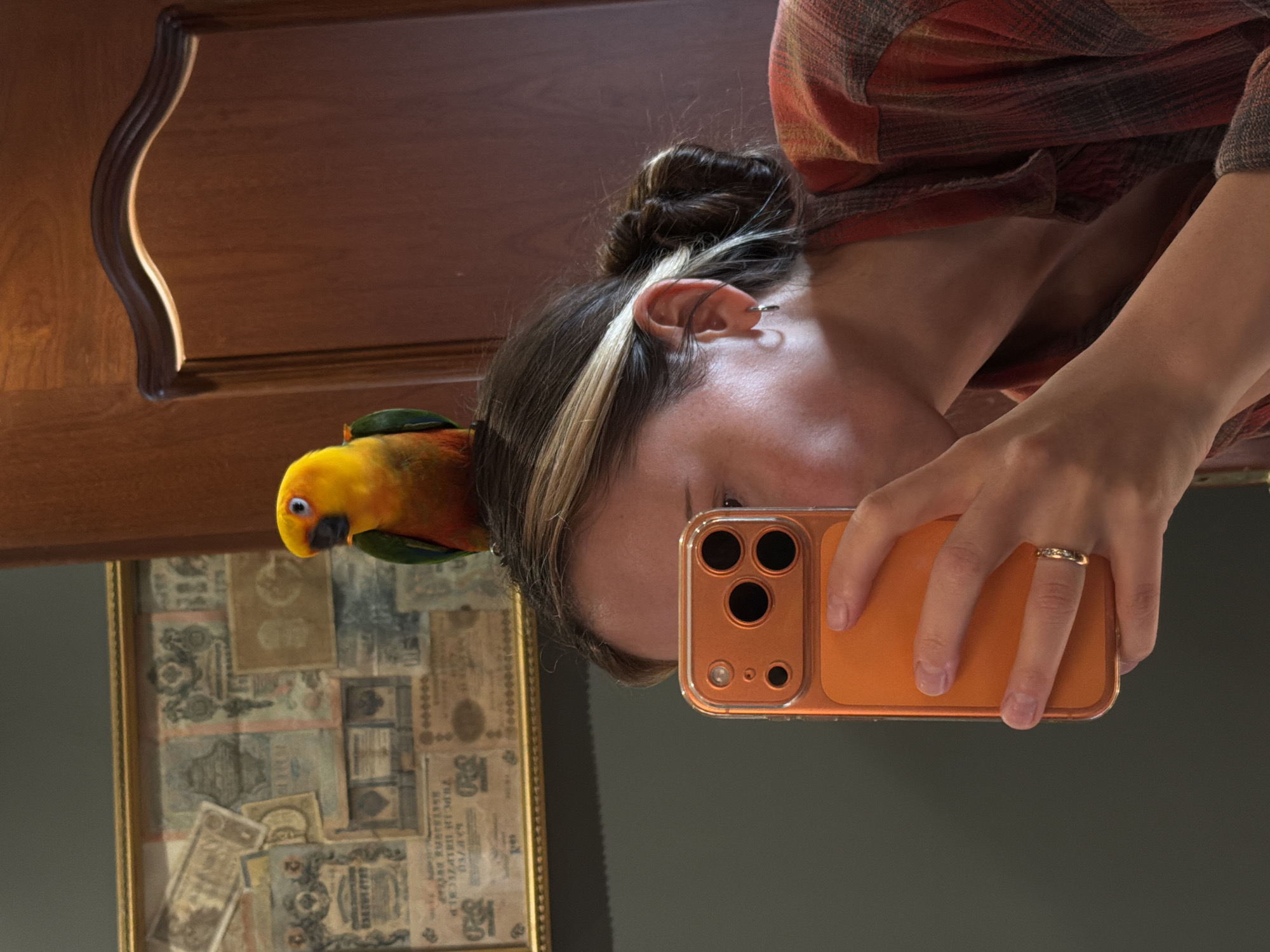 The image shows a woman with a parrot on her head, taking a selfie in a mirror. The woman is wearing a plaid shirt and has her hair pulled back in a bun with a blonde streak. She is wearing a ring on her finger and an earring in her ear. The parrot is yellow and green. In the background, there is a wooden cabinet and a framed collection of what appears to be old banknotes. The lighting suggests it could be daytime. The reflection in the mirror shows the woman holding an orange-colored smartphone. There is no visible text in the image. The setting appears to be indoors, possibly a home given the presence of personal items like the cabinet and framed collection. The overall mood is casual and playful.