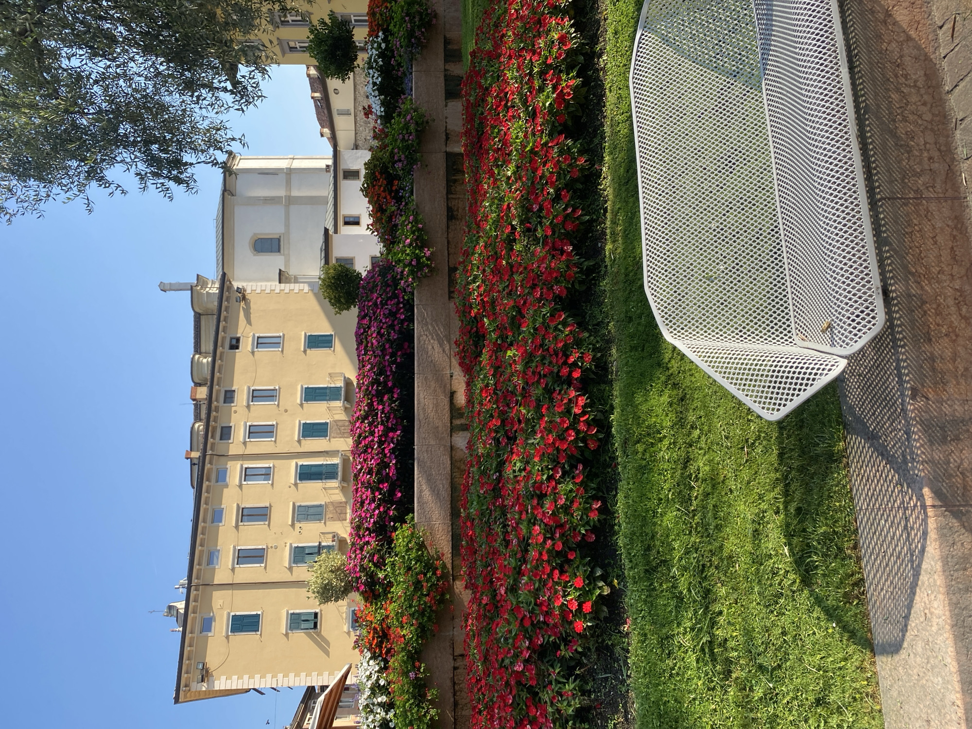 This is a photograph taken in Riva del Garda, Italy, showing a vibrant floral display in an urban setting. The foreground features a modern, white metal bench with a distinctive perforated design, casting intricate shadows on the paving stones below. Adjacent to the bench is a well-maintained green lawn. Behind the lawn, a tiered garden bed showcases a profusion of bright red flowers in the lower section, and a colorful arrangement of pink, orange, and white flowers in the upper section.

In the background, a pale yellow building with multiple windows and green shutters dominates the scene. To the right of this building, a white church-like structure with a single arched window is visible, and further back, other buildings with red-tiled roofs are present. The sky is a clear, bright blue, and the branches of a leafy tree are visible on the right side of the frame. The overall impression is one of a well-kept public space bathed in the clear light of day.
