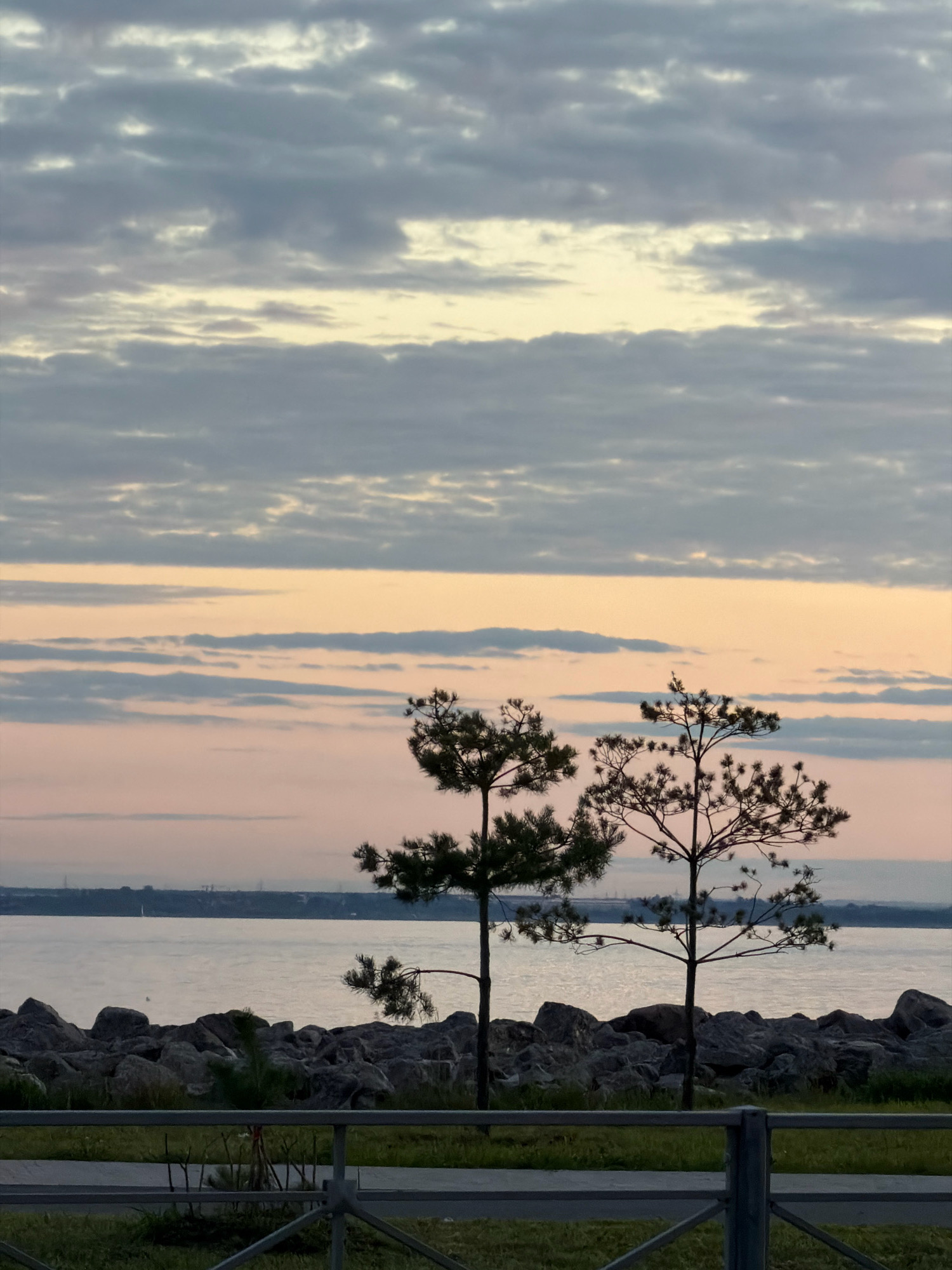 The image depicts a serene waterfront scene during what appears to be either sunrise or sunset, based on the soft, pastel colors in the sky. Two slender evergreen trees stand silhouetted against the horizon, their branches reaching upwards. In the foreground, a rocky shoreline leads down to a calm body of water. A metal railing and a strip of grass are visible in the lower part of the frame, suggesting a public walkway or park area. The distant skyline shows faint structures, possibly industrial or residential, hinting at the presence of a city. The overall atmosphere is tranquil and natural, with the sky displaying a gradient of blues, grays, and warm oranges, indicative of twilight conditions. The location is identified as Saint Petersburg, Russia, a city known for its numerous waterways and coastal areas.