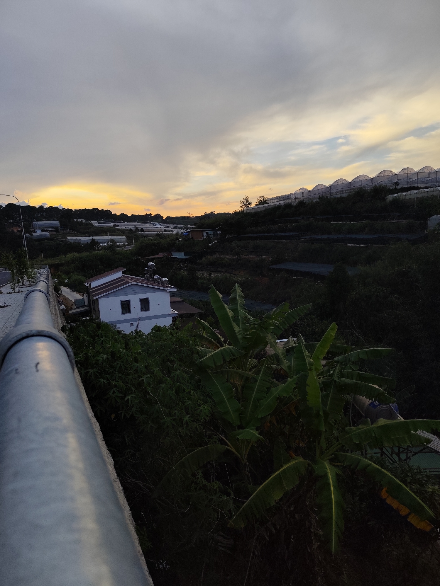 A high-angle shot shows a scene in Da Lat, Vietnam, at dusk. The sky is a mix of gray and yellow, indicating either sunrise or sunset. A house with white walls and a gray roof sits amidst dense greenery. Two large water tanks are visible on top of the house's roof. Green vegetation, including banana plants, dominates the foreground. In the background, greenhouses line the terraced hillside. A gray metal railing is visible in the lower left of the frame.