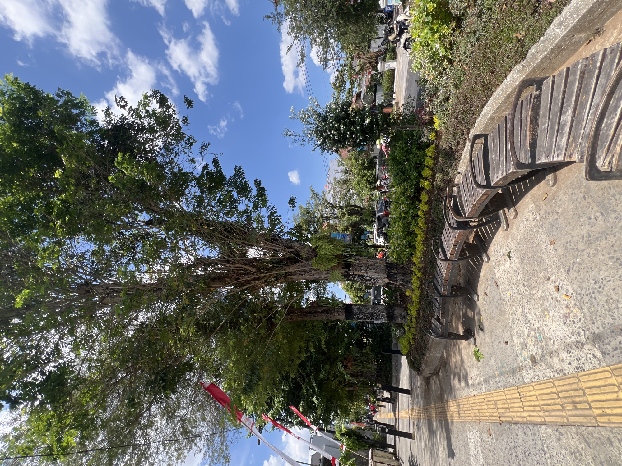 A sunny outdoor scene depicts a tree-lined sidewalk in Yogyakarta, Indonesia. The sidewalk features a yellow tactile paving strip for the visually impaired. Several wooden benches are arranged along a garden bed bordering the sidewalk. The garden is filled with various plants and flowers. Red and white flags are strung along the sidewalk, suggesting a national holiday or celebration. In the background, vehicles are seen on a street, and buildings are visible. The sky is bright blue with scattered white clouds.