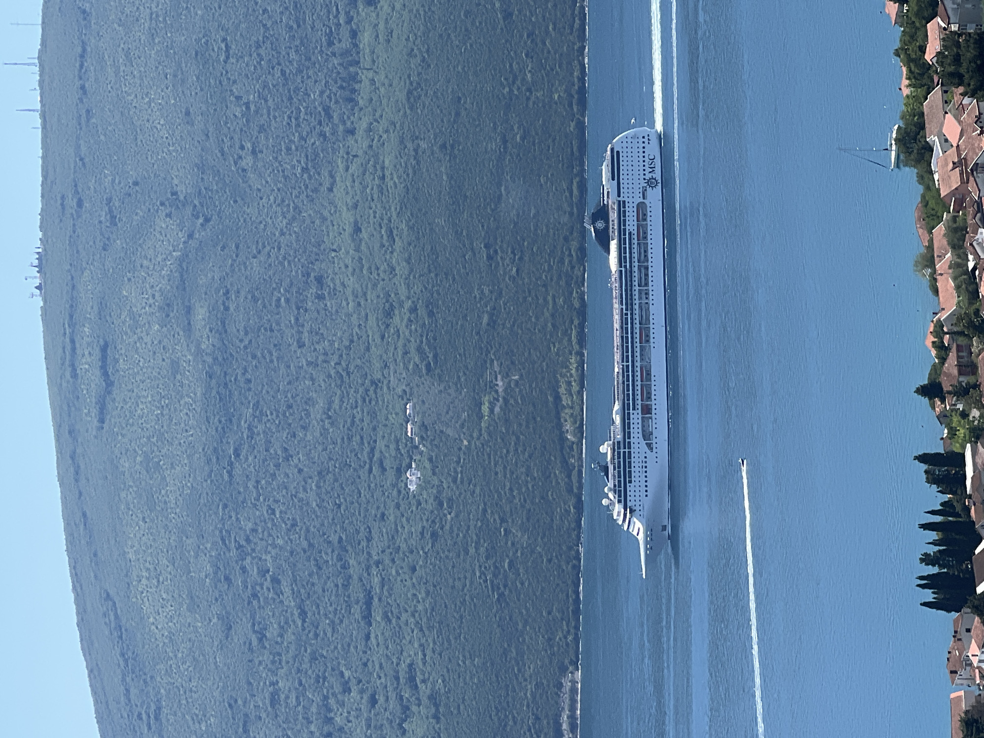 The image shows a large cruise ship, identified by the MSC logo, sailing in the Bay of Kotor near Baošići, Montenegro. The vessel is generating significant wake. A smaller boat is visible, trailing behind the cruise ship. The shoreline is dotted with buildings. The opposite side of the bay features a densely forested mountain range. The sky is clear.