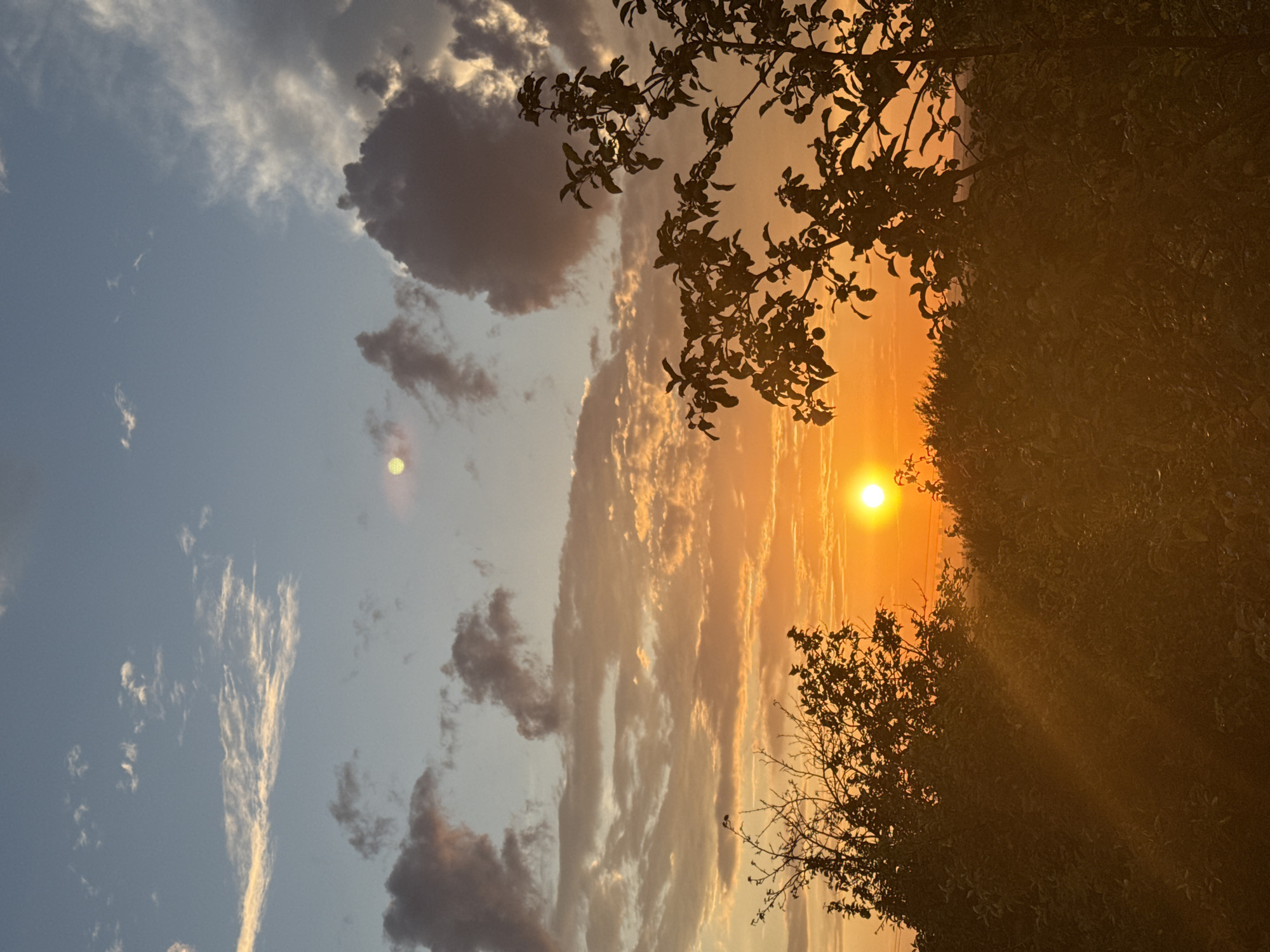 The image depicts a sunset scene with a vibrant orange sun low on the horizon. The sky is a gradient of blue and orange, with scattered clouds. Silhouetted against the bright sky are the tops of trees and bushes in the foreground. The overall impression is one of a peaceful, natural landscape.