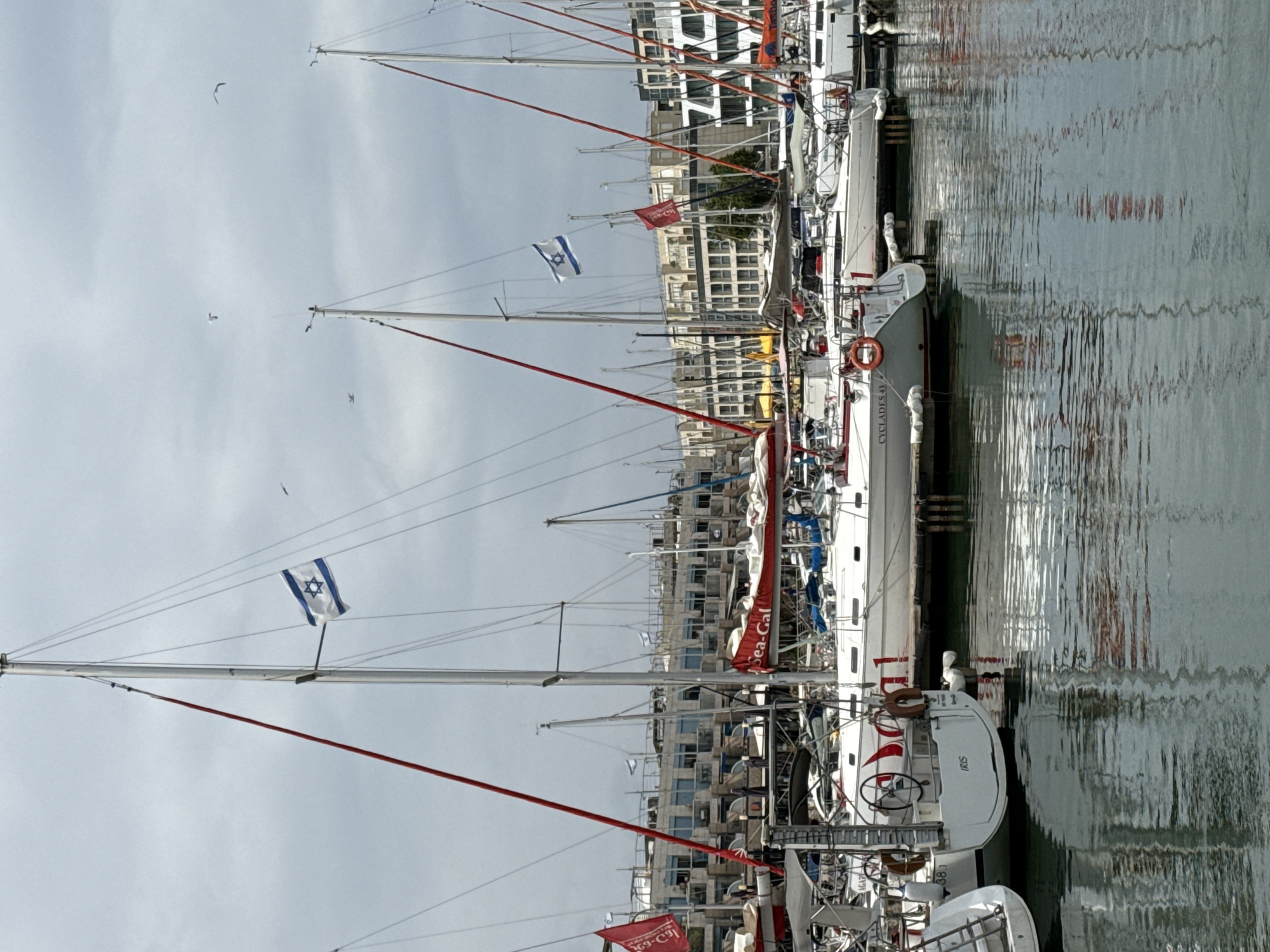 The image shows a marina filled with docked sailboats, likely in Herzliya, Israel. The sailboats are white and have red accents, and some have Israeli flags. There are buildings in the background. The water reflects the boats and the sky. There are birds flying above.