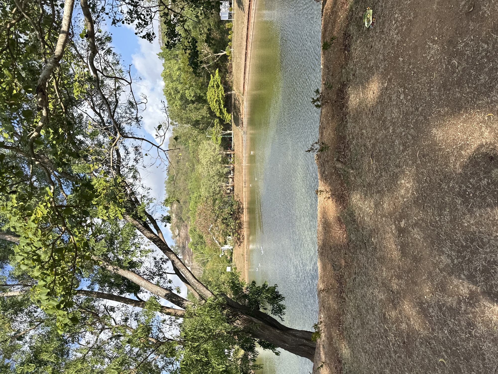 This is a photograph of a tranquil body of water, likely a man-made pond or small lake, situated in Kuta Selatan, Indonesia. The foreground features a dry, grassy embankment with sparse vegetation and fallen leaves, partially shaded by the canopy of a large, mature tree to the left. This tree's trunk is thick and gnarled, with branches extending upwards and outwards, adorned with lush green foliage.
Beyond the embankment lies the calm water, reflecting the dappled sunlight and the surrounding greenery. Several small, white waterfowl are visible on the water's surface. The background is a tapestry of various shades of green, consisting of dense trees and shrubs that line the far bank of the water. In the distance, a gentle, tree-covered hill rises, with a hint of a building, possibly a white house or structure, nestled among the trees on its slope. The sky above is a bright blue, with scattered white clouds. The overall impression is one of a peaceful, natural setting within an urban or semi-urban environment.