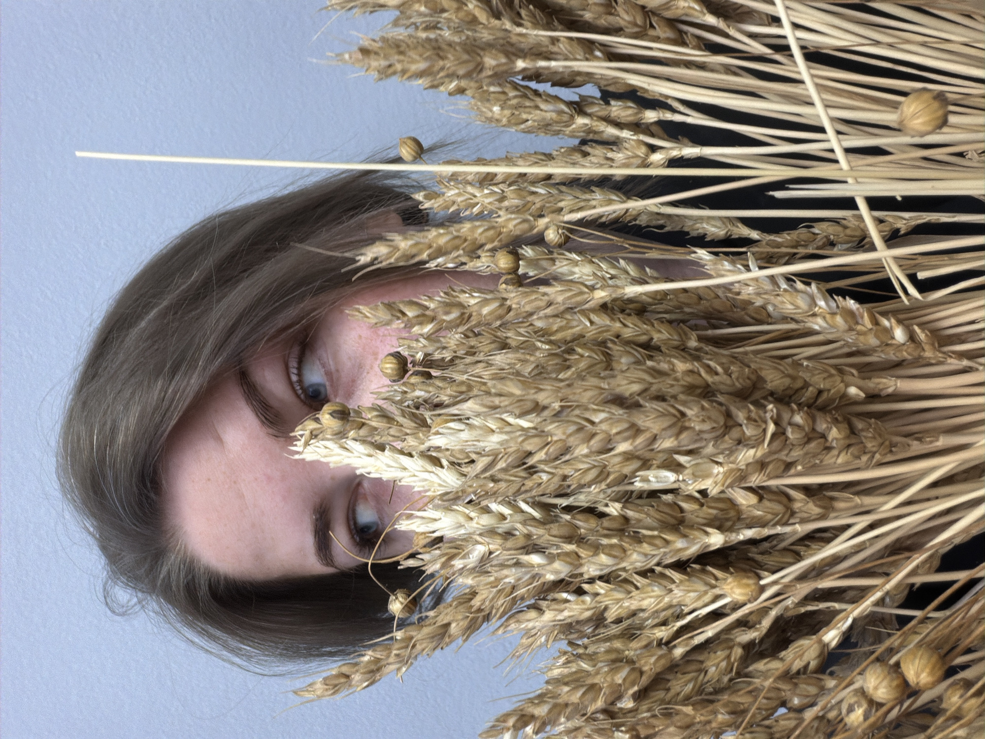 A young Caucasian female with shoulder-length brown hair and fair skin with freckles is partially obscured by a bundle of wheat stalks in the foreground. She is looking to her left with blue eyes. The background is a plain light blue wall. The lighting is even and diffused. The image appears to be a close-up portrait taken indoors. There is no discernible information regarding the city of Chaikovsky, Russia, or any specific location.