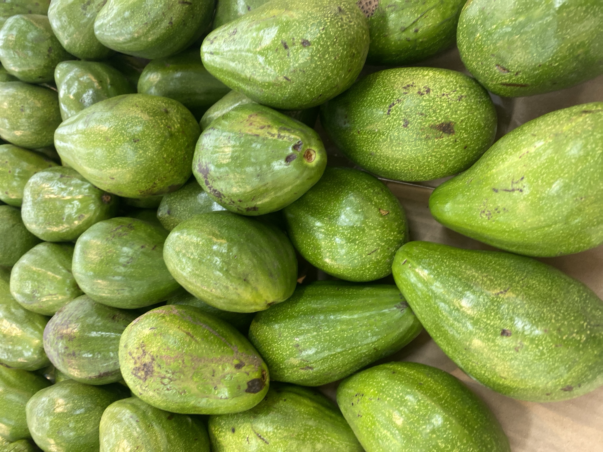 A close-up, overhead shot displays a large pile of ripe avocados. The avocados are uniformly green with some exhibiting small, dark blemishes or marks on their skin. They are arranged in a dense, overlapping cluster, filling the frame. The background is a muted, brown surface, likely a market stall or counter. The lighting is even and bright, highlighting the texture and color of the fruit. The image appears to be taken in a market in Banjarbaru, Indonesia, given the common availability of avocados in the region.