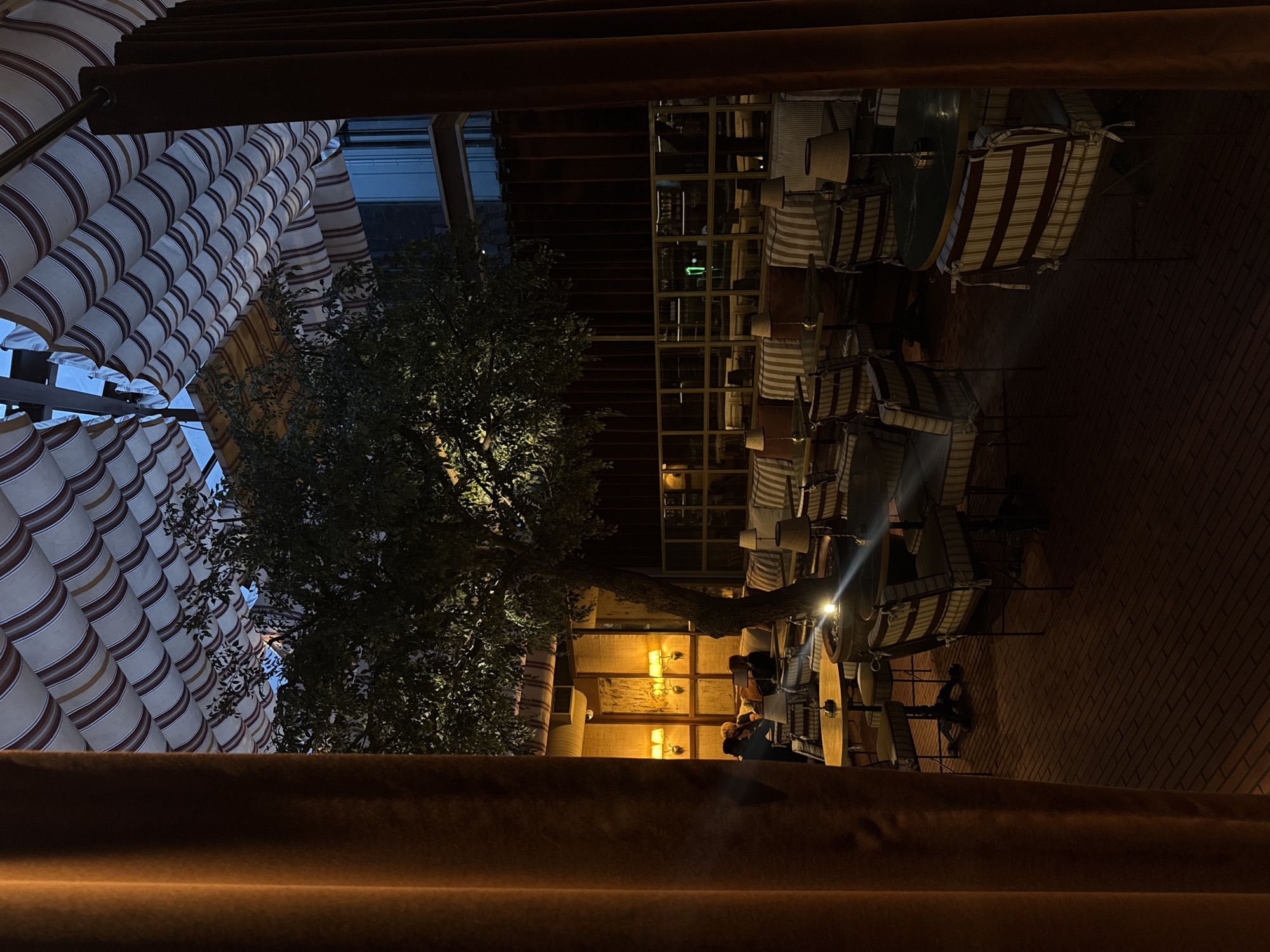 The image depicts an outdoor dining area at night, likely in Cape Town, South Africa, given its architectural style. A large tree dominates the center of the frame, with branches reaching towards striped awnings and a multi-story building. Tables and chairs with striped upholstery are arranged around the tree. People are seated at some of the tables, illuminated by warm lighting fixtures. The scene is partially framed by a dark-colored object in the foreground, creating a sense of enclosure. The background features a brick wall and windows with warm lighting emanating from within.