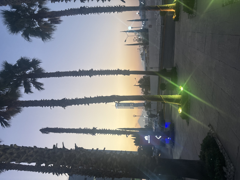 Palm trees line a street, their silhouettes dark against a vibrant sunset sky. The foreground shows a paved walkway. A few buildings and streetlights are visible in the distance, creating a cityscape backdrop, with a mountain range on the horizon. The trunks of some palms are illuminated with green lights. A Banco Multiva sign is visible.