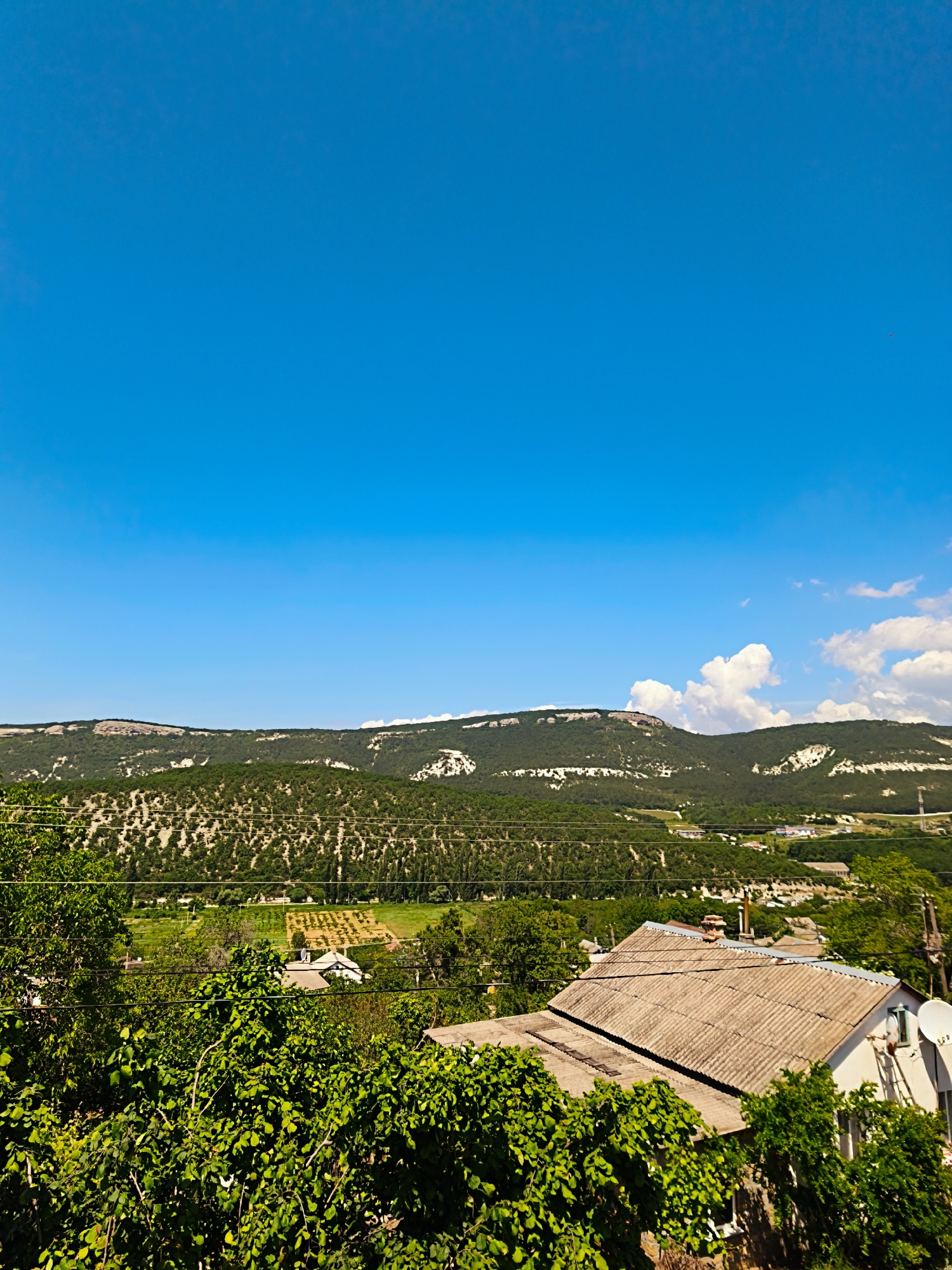 This image captures a panoramic view of a rural landscape in Терновский округ, Ukraine, under a bright, clear blue sky. The upper two-thirds of the frame consists of an unobstructed blue sky, with a cluster of white cumulus clouds visible in the upper right quadrant and a singular, minuscule dark speck, likely a bird or distant aircraft, also in the upper right. The midground is dominated by a range of hills or low mountains, characterized by a mix of dense green forestation and lighter, exposed rocky or sparsely vegetated slopes. Below the hills, a valley contains neatly arranged cultivated fields and scattered residential structures. The foreground is heavily vegetated with vibrant green foliage, including trees and bushes. Prominently positioned in the lower right is the roof and partial facade of a residential building. This house features a weathered, light gray corrugated roof, a visible chimney, a white exterior wall with a green-framed window, and two white satellite dishes. Additional, partially obscured roofs of similar construction are visible among the trees. Multiple overhead utility wires extend horizontally across the lower midground, traversing the landscape above the foliage and houses. No people are discernible in the scene.