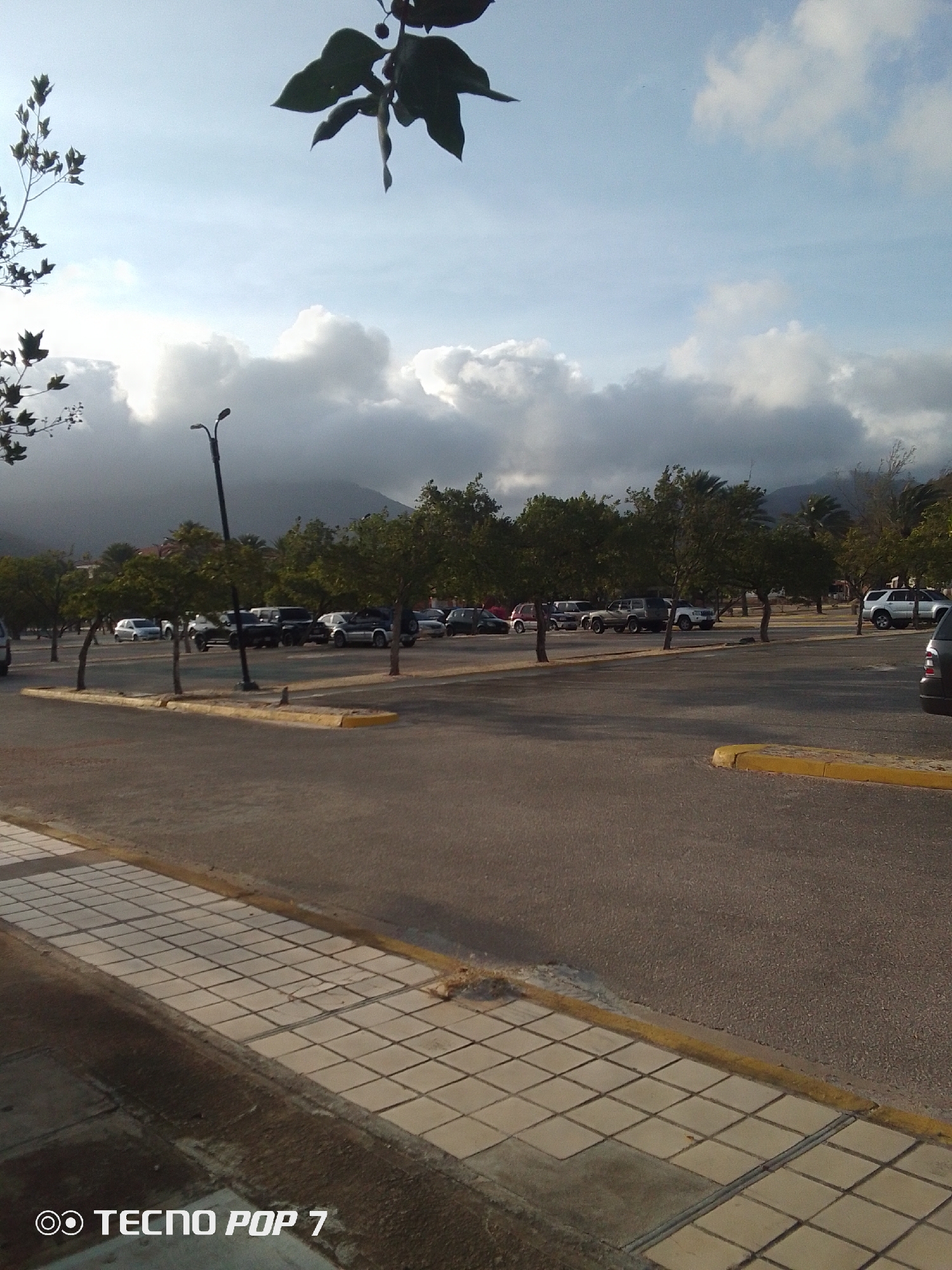 The image shows a parking lot in Pedro González, Venezuela, with multiple cars parked under trees. In the background, there are mountains under a cloudy sky. A paved sidewalk runs along the foreground. A streetlight is visible amongst the trees.