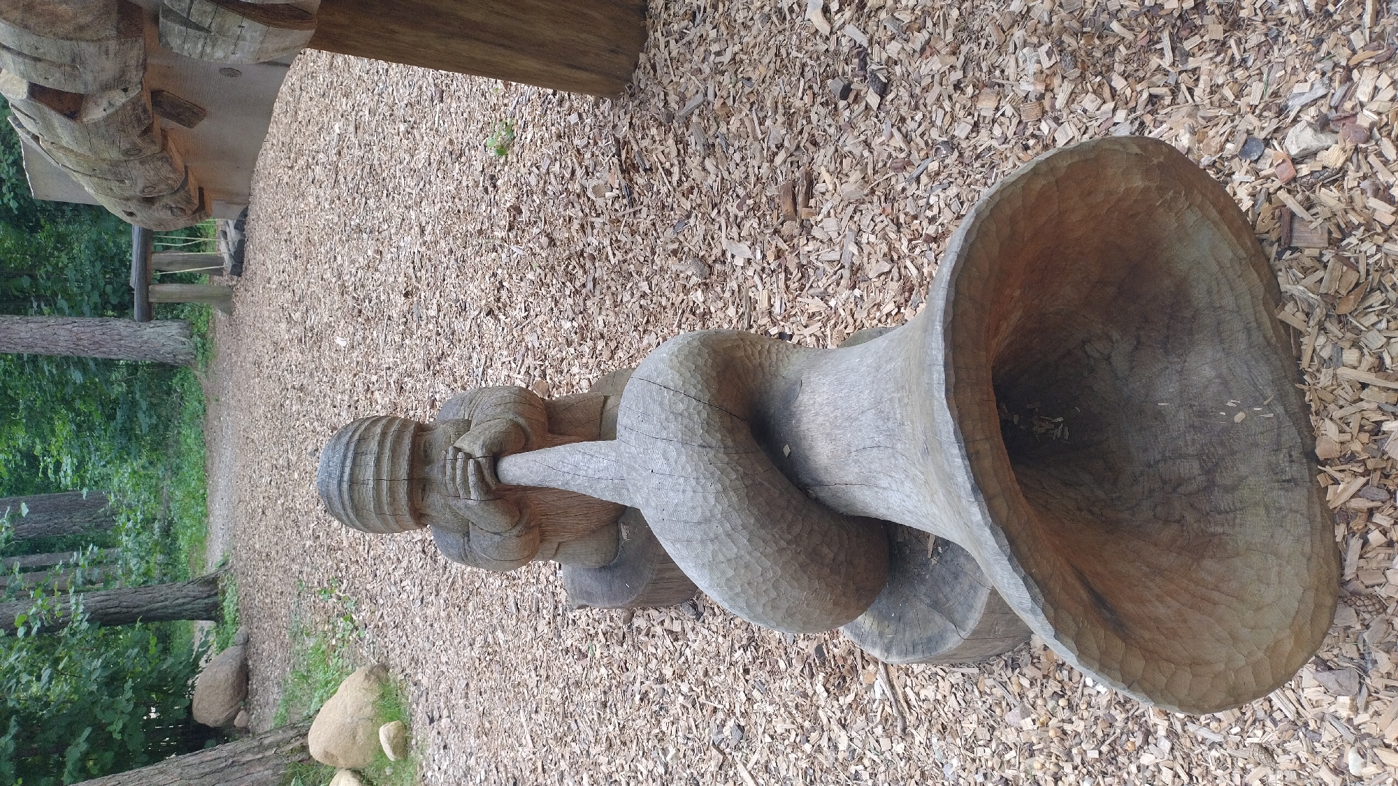 In the Tērvete Nature Park, Tērvete, Latvia, a carved wooden sculpture of a gnome is depicted sitting and blowing into a large wooden horn. The sculpture is made of weathered wood, with visible grain and carved details. The gnome's head is covered with a ridged hat, and its hands are positioned to hold the horn. The horn itself is elaborately curved, widening dramatically towards its opening, which faces the viewer. The sculpture is situated on a base of tree stumps and rests on a ground covered with wood chips. In the background, trees and foliage indicate a forest environment. The overall scene suggests an outdoor art installation within a natural setting.