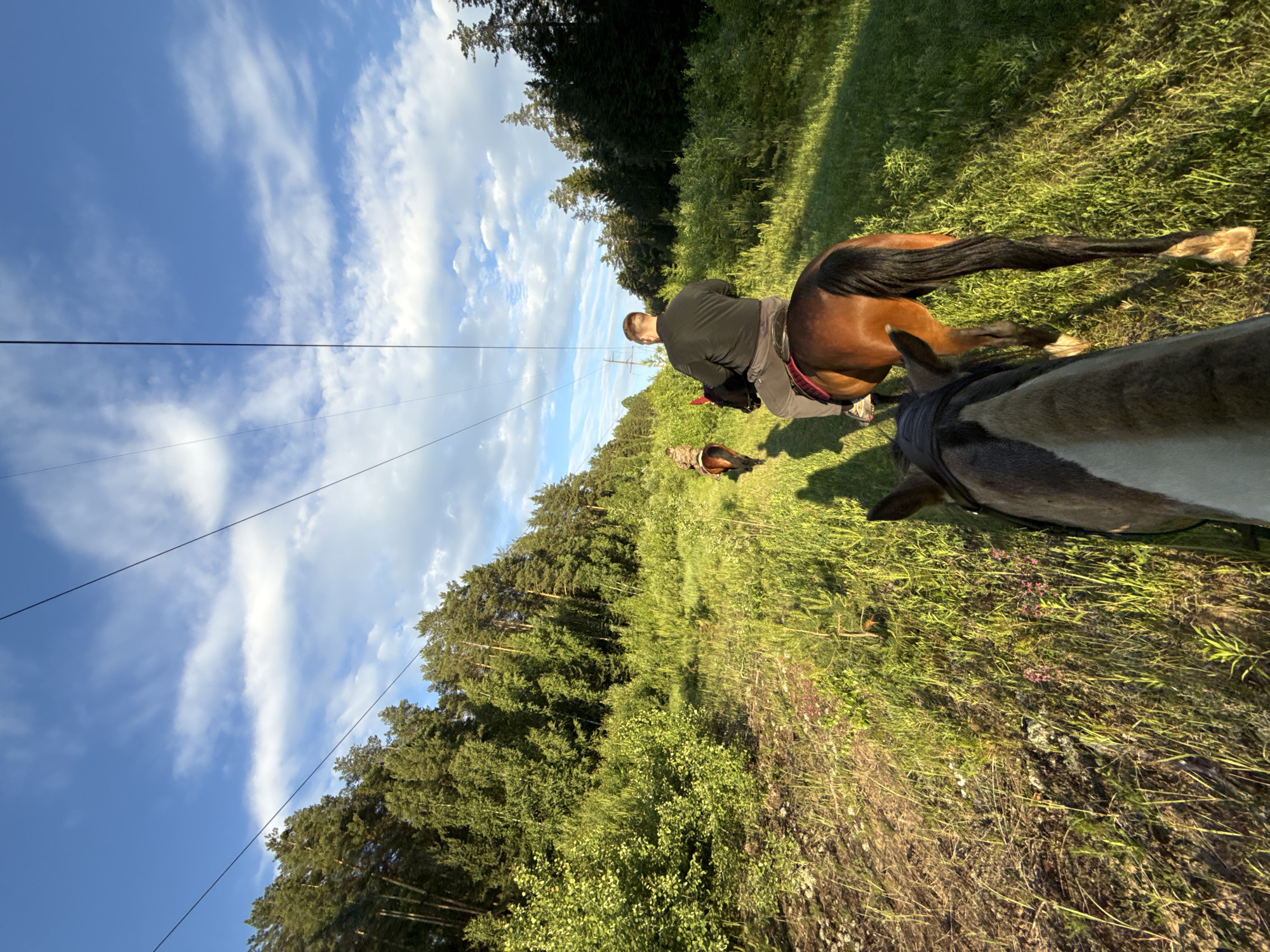 Two individuals are horseback riding along a grassy path bordering a dense forest. The path appears to be under power lines that stretch across the frame. The sky is blue with scattered white clouds, and the sun is casting long shadows. The rider in the foreground is on a brown horse, and their head and neck are visible from behind. The rider in the background is also on a brown horse and is further down the path. The location is in the city of Chaikovsky, Russia.