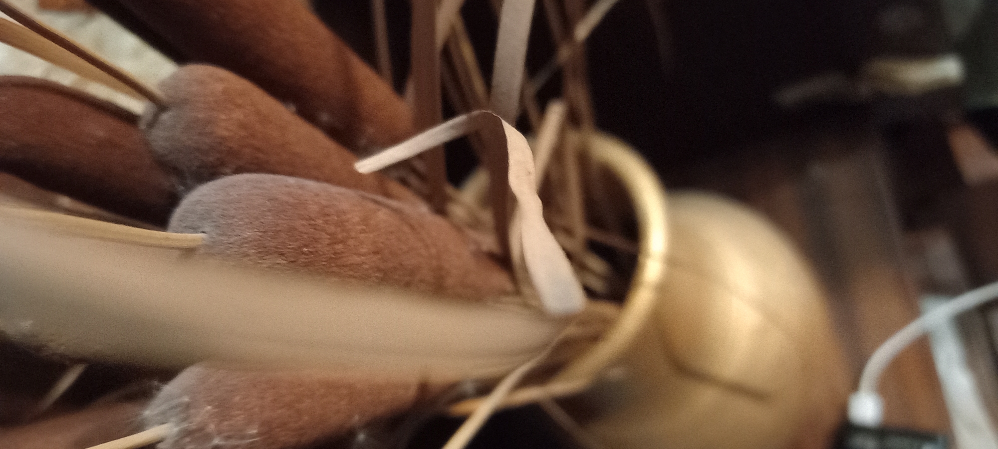The image presents a close-up, indoor view of a decorative arrangement featuring several dried cattail heads and accompanying dried reeds or grasses. The main subjects are the dark brown, fuzzy, cylindrical cattail heads, some of which show a slightly lighter, almost grayish-brown hue due to their texture. These are interspersed with thin, pale, and dry linear plant elements, likely reeds or stalks, which crisscross through the composition.
On the right side, a blurry, golden-toned object is partially visible, suggesting it could be a vase or container holding the dried plants. Further right and extremely out of focus, a white, blurry cable or string can be seen. The background is dark and heavily blurred, emphasizing the foreground elements. No specific activity is taking place; the image captures a static display. The lighting appears soft, highlighting the textures of the dried plants. There are no people visible, and no text is present in the image. This scene is located in Kryvyi Rih, Ukraine.