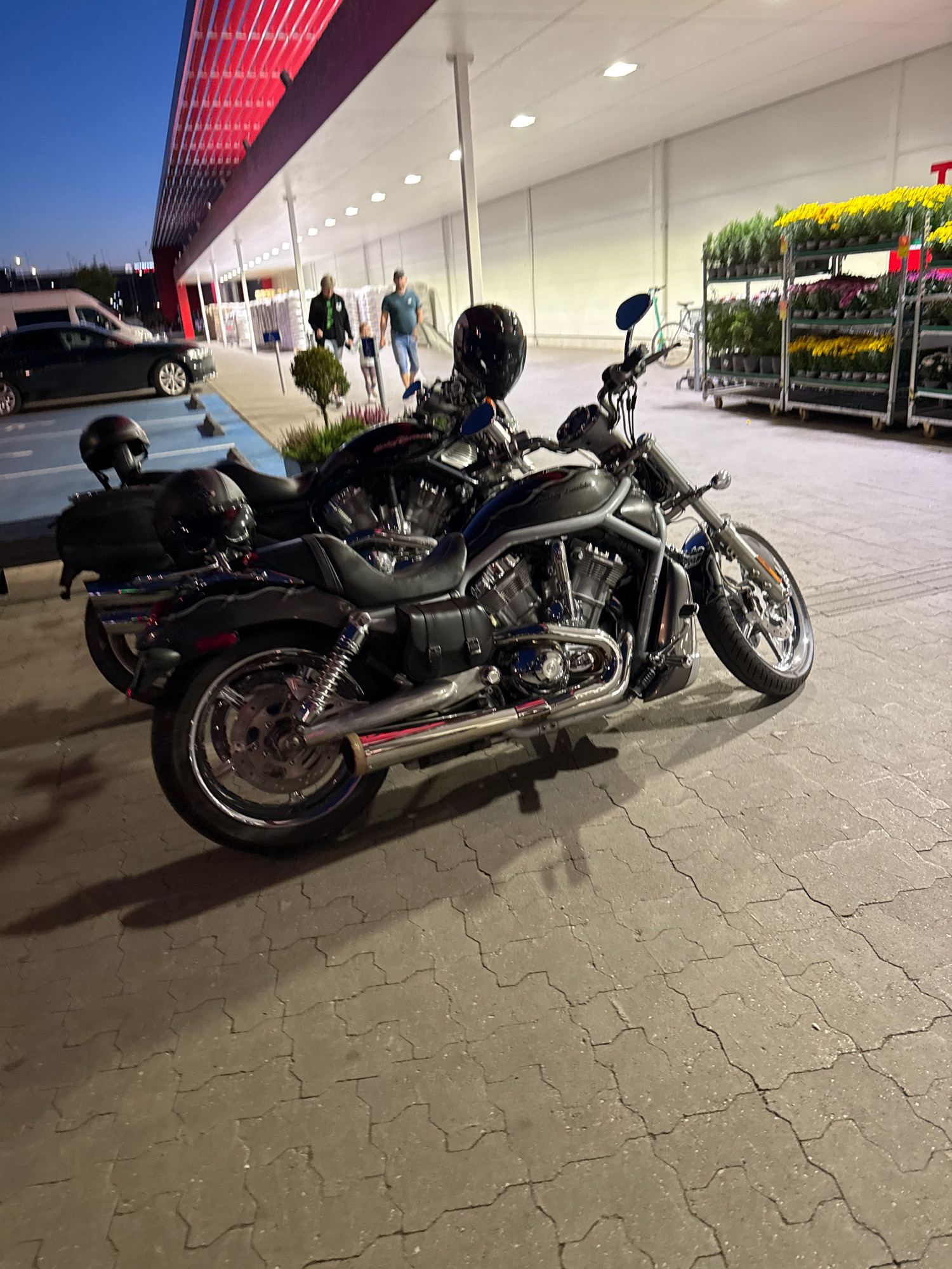 The image shows two Harley-Davidson motorcycles parked on a cracked, paver-stone surface outside a commercial building with a red awning and white walls. The building appears to be a retail store, as evidenced by shelves stocked with potted plants and flowers visible in the background. Two men and a child are walking away from the motorcycles towards the building entrance. A black car is parked to the left of the motorcycles. The sky is dark blue, indicating it is either dusk or early evening. The lighting suggests artificial illumination from the store and streetlights. The scene is set in an outdoor commercial area in Tallinn, Estonia.